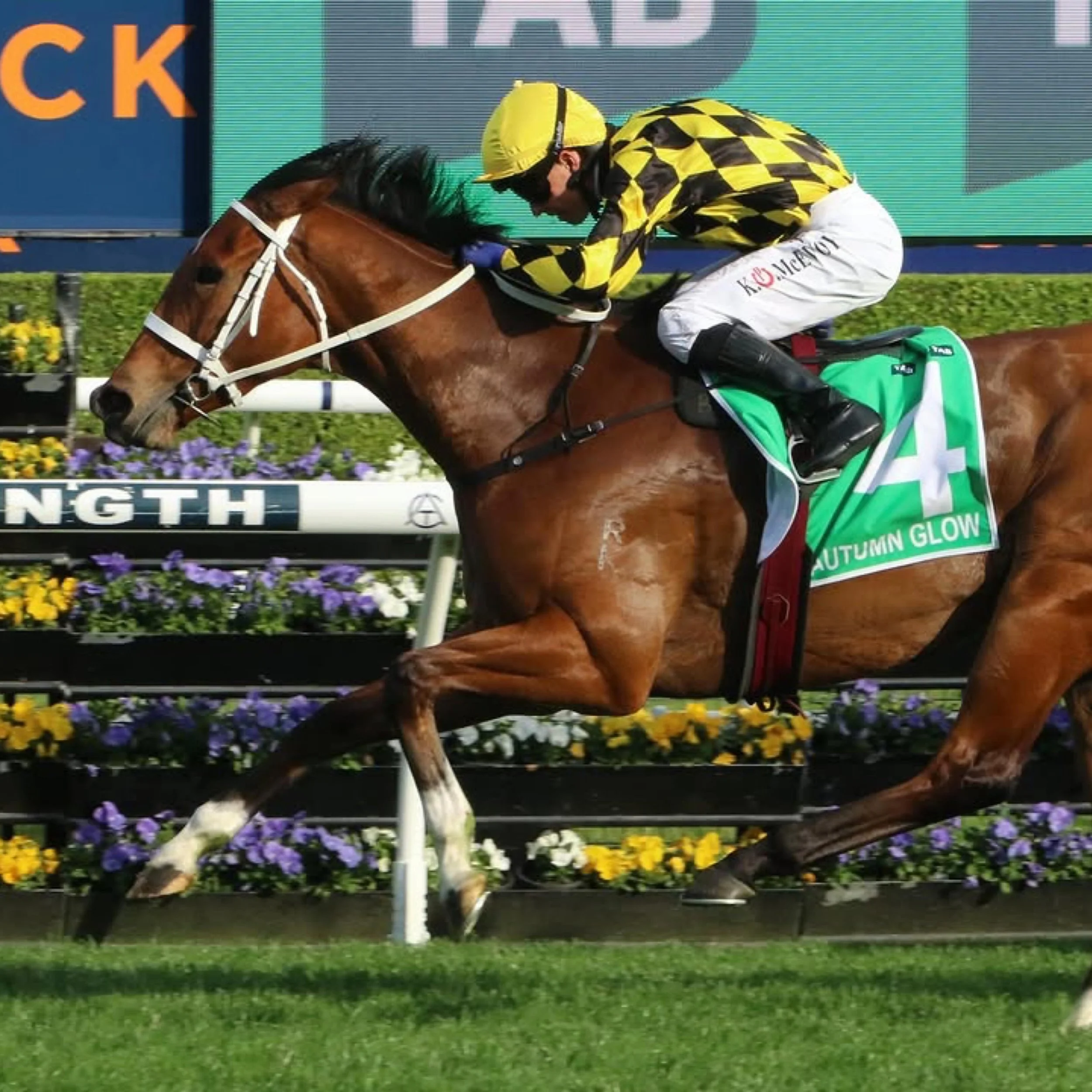 Group 1 Racing is back at Royal Randwick today for Epsom Day &mdash; we&rsquo;ll have all the action LIVE &amp; LOUD in the Sports Bar all day 🏇 

@philsrooftop is the place to be after the last (IYKYK), here&rsquo;s who&rsquo;s on the decks tonight