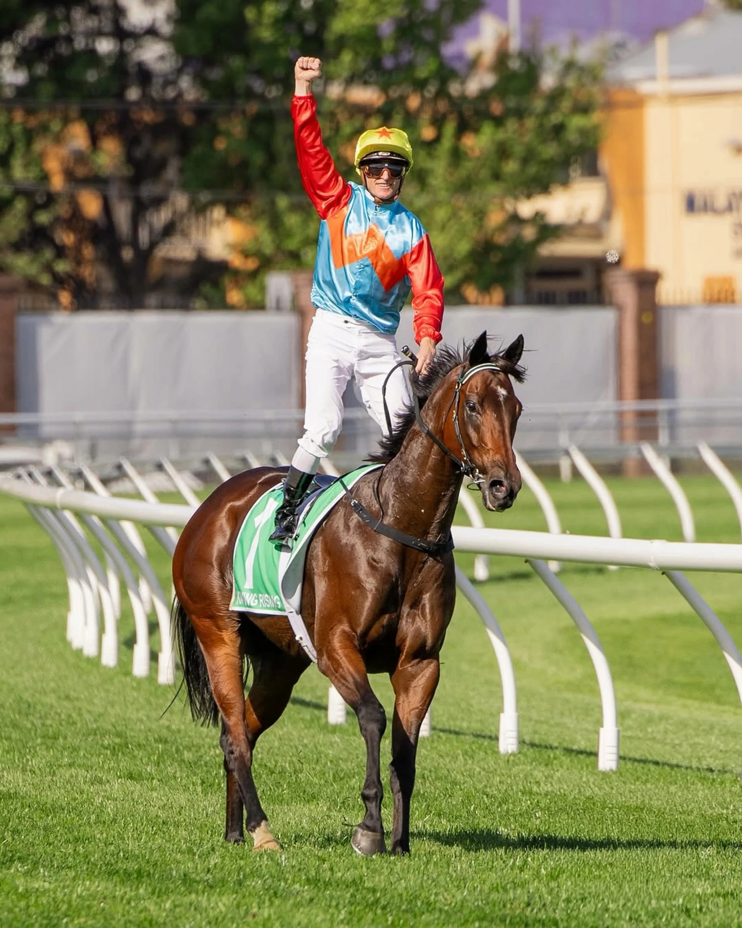 Today is all about Rugby &amp; Racing! 💥 And, Double Bay&rsquo;s Home of Sport is where you want to be to catch all the action LIVE &amp; LOUD 🫡 

Here&rsquo;s the schedule 👇🏽 
🏉 Bledisloe Cup @ 3:45PM
🐎 The Everest @ 4:15PM
🐎 Caulfield Cup @ 