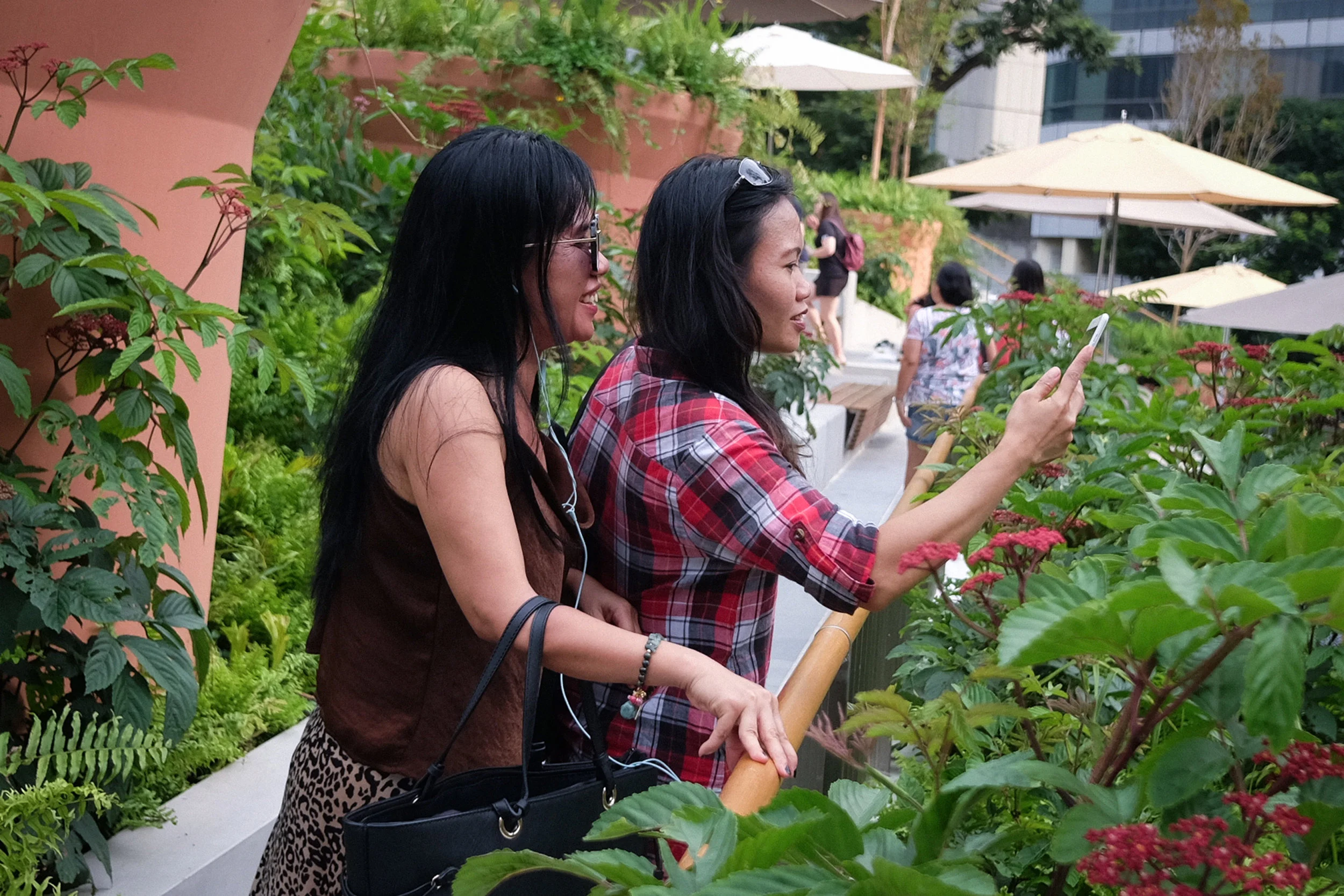 American Horticulture Society: Virtual Workshop