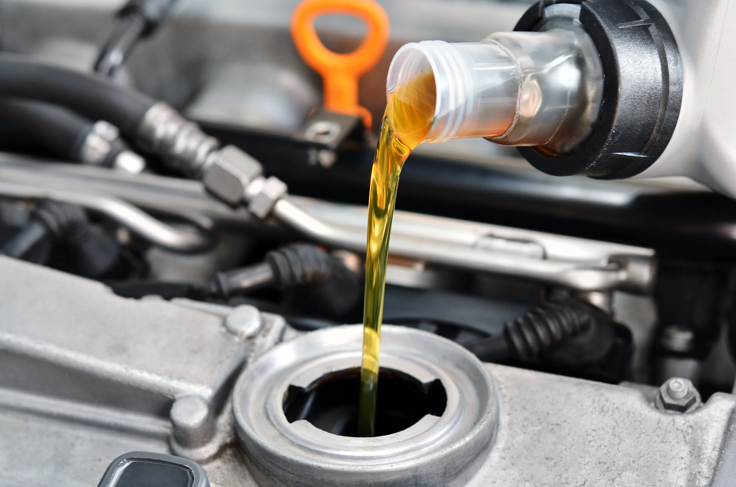 Vehicle servicing, oil and filter changes for all makes and models