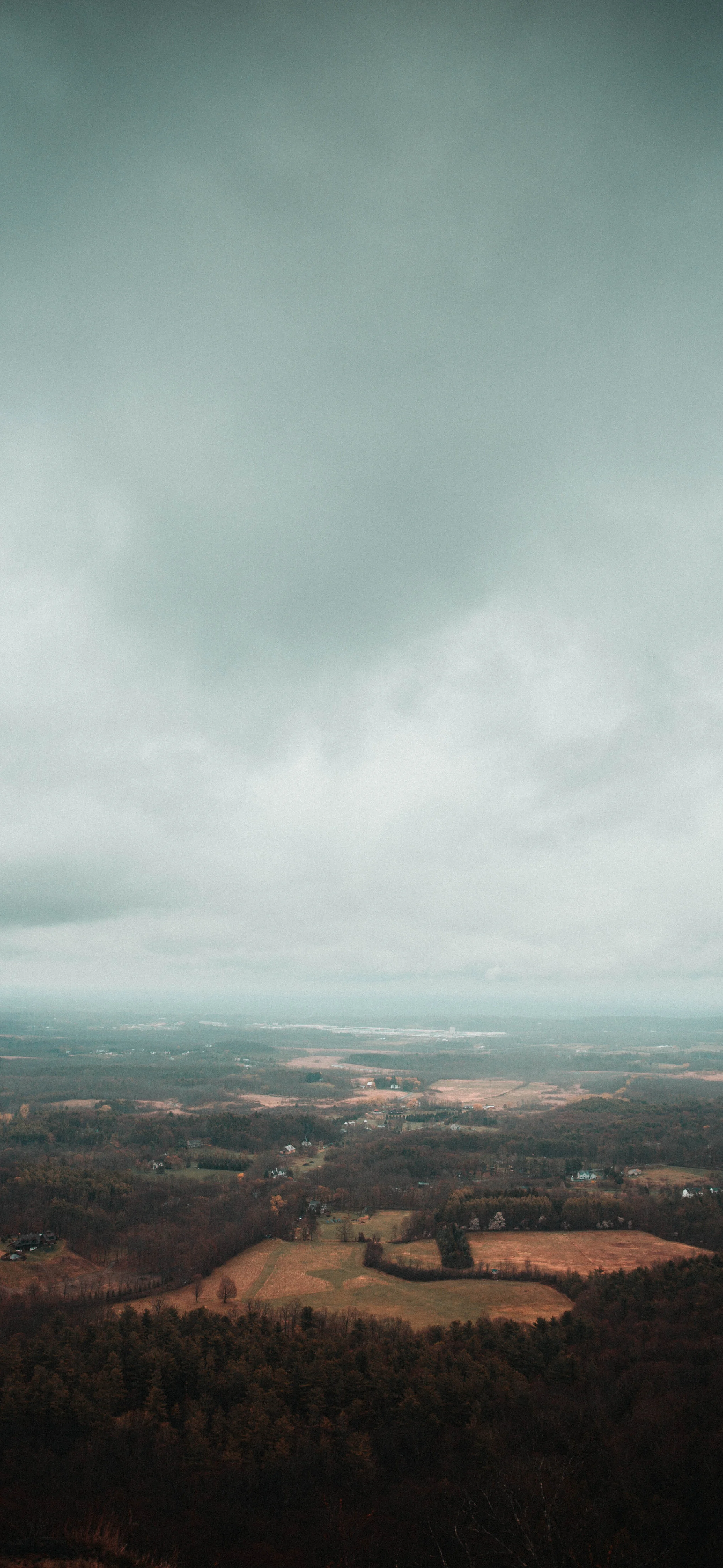 Wallpaper-19.jpg