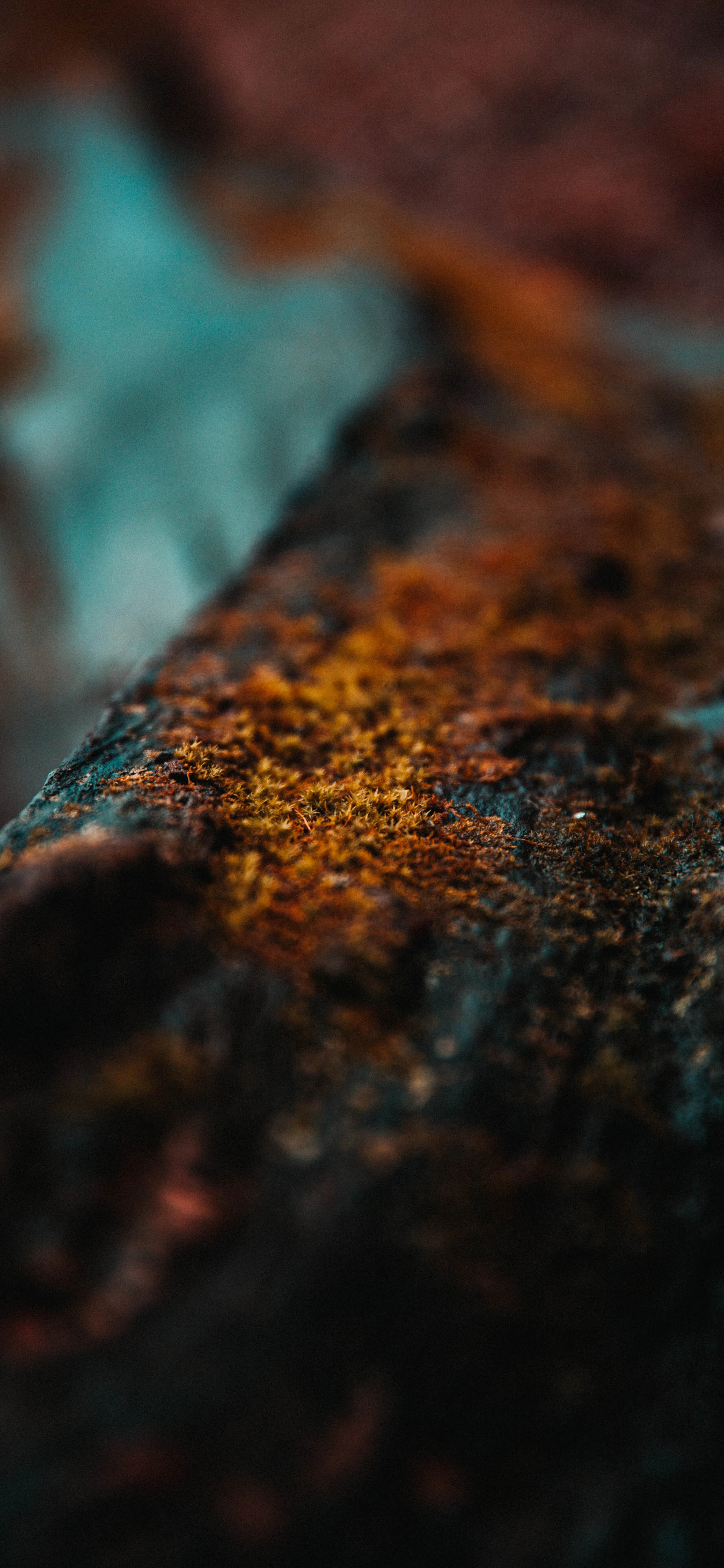 Wallpaper-20.jpg