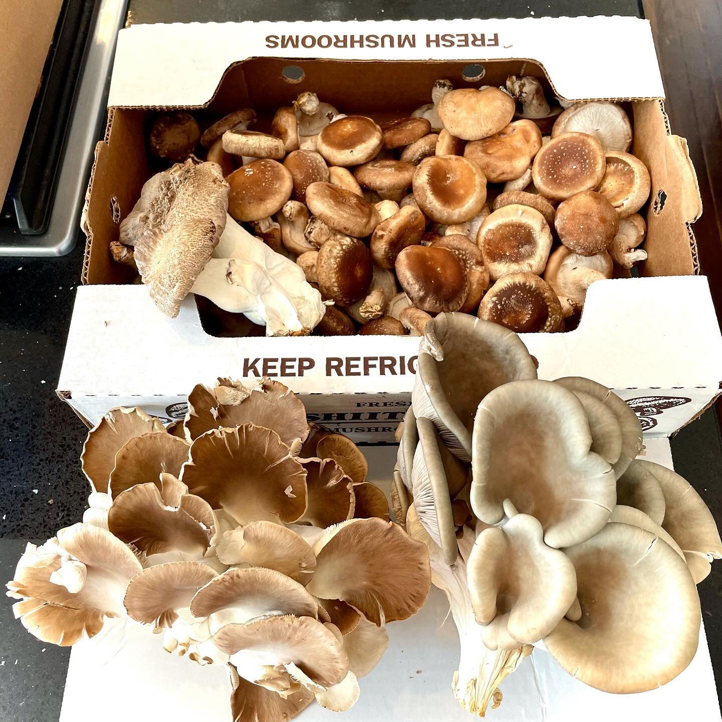 Check out these awesome mushrooms from @fungified_farm 🍄🍄🍄
Grown locally in Montgomery County and they deliver right to your house!
.
.
#mushrooms #naturallygrown #love #beautiful #food #shoplocal #supportlocal #vestabbq #supportsmallbusiness