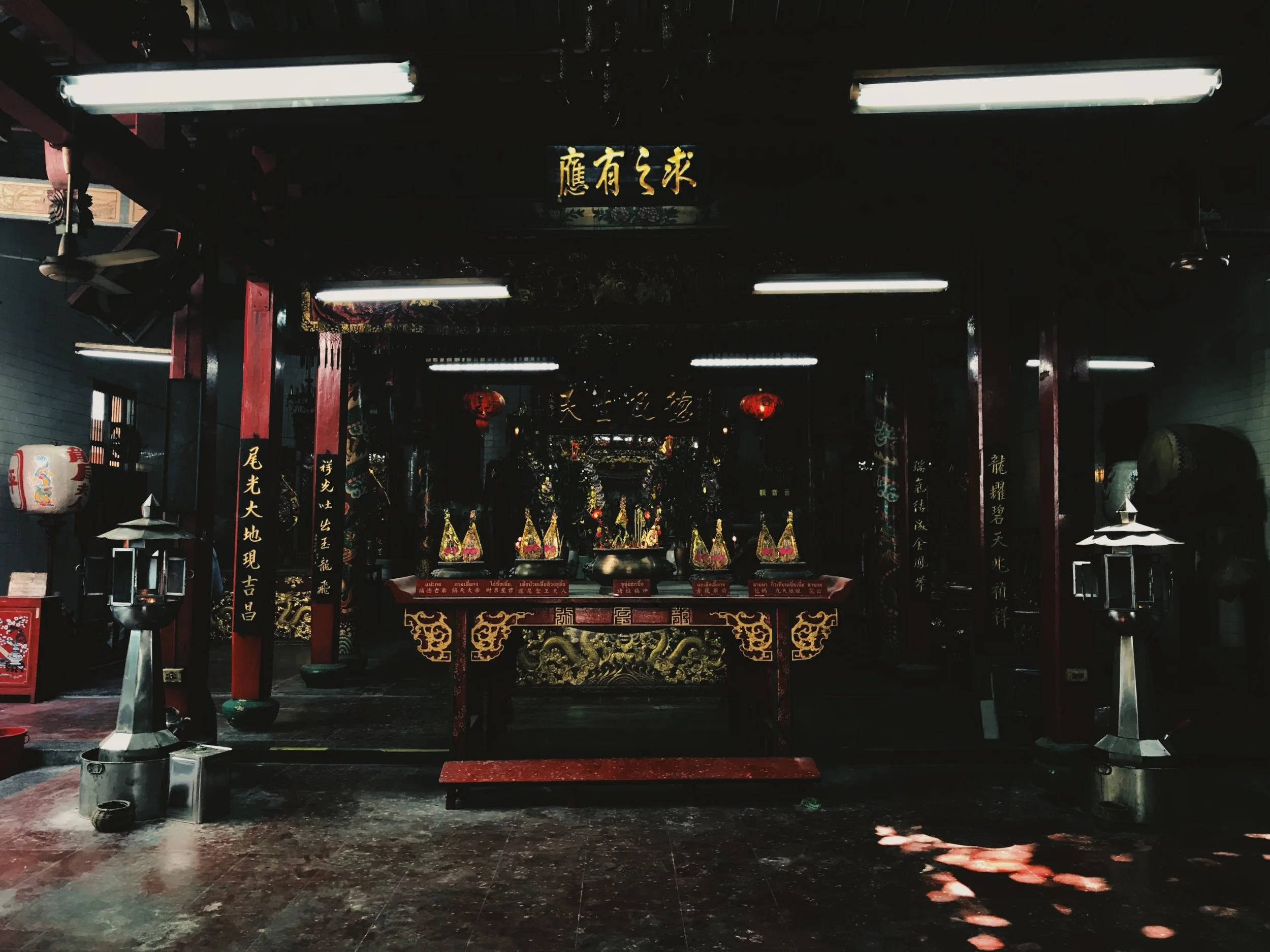 JPEG image-738AF17C19CA-4.jpeg