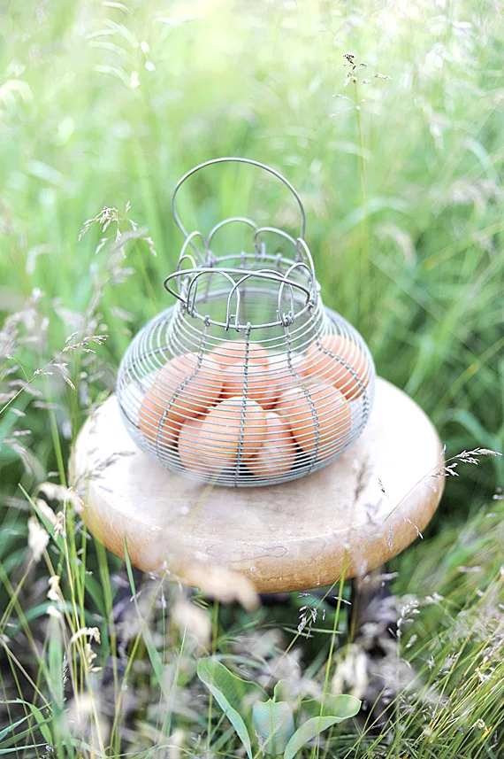 Vintage French Wire Egg Basket