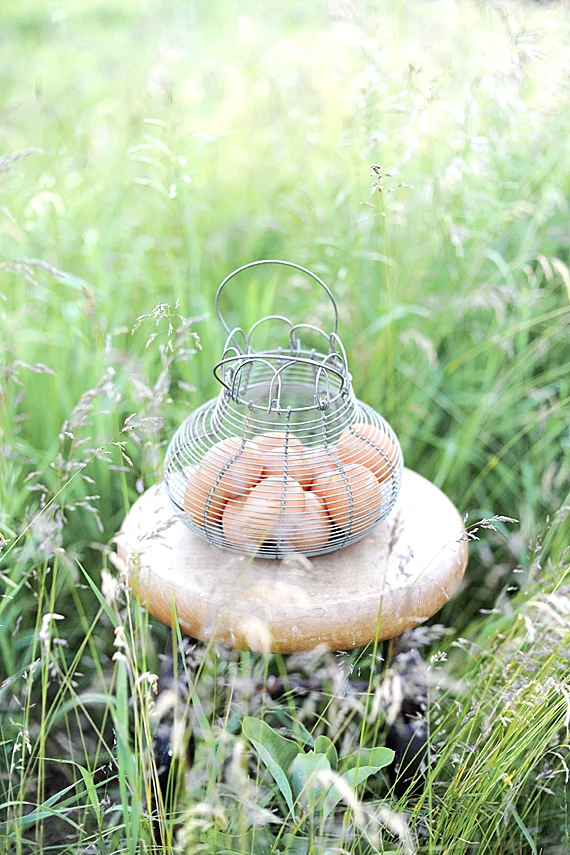 Vintage French Wire Egg Basket