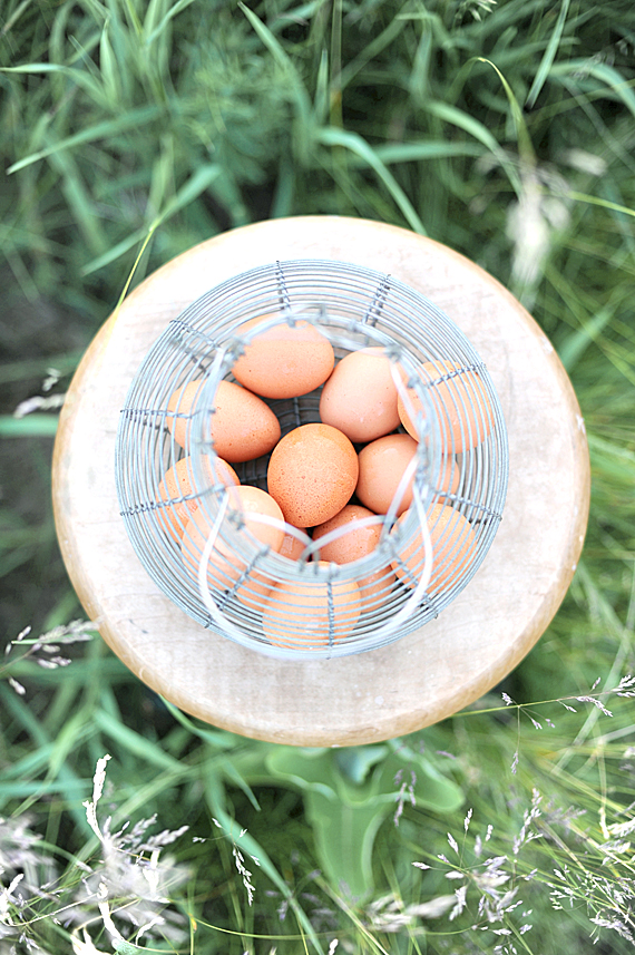 Vintage French Wire Egg Basket