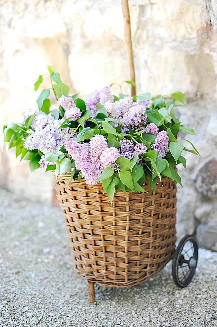 Haven Antiques Antique French Wicker Farmers Market Cart Basket