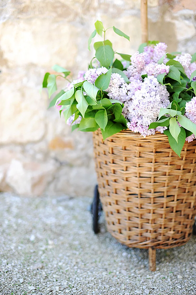 Haven Antiques Antique French Wicker Farmers Market Cart Basket