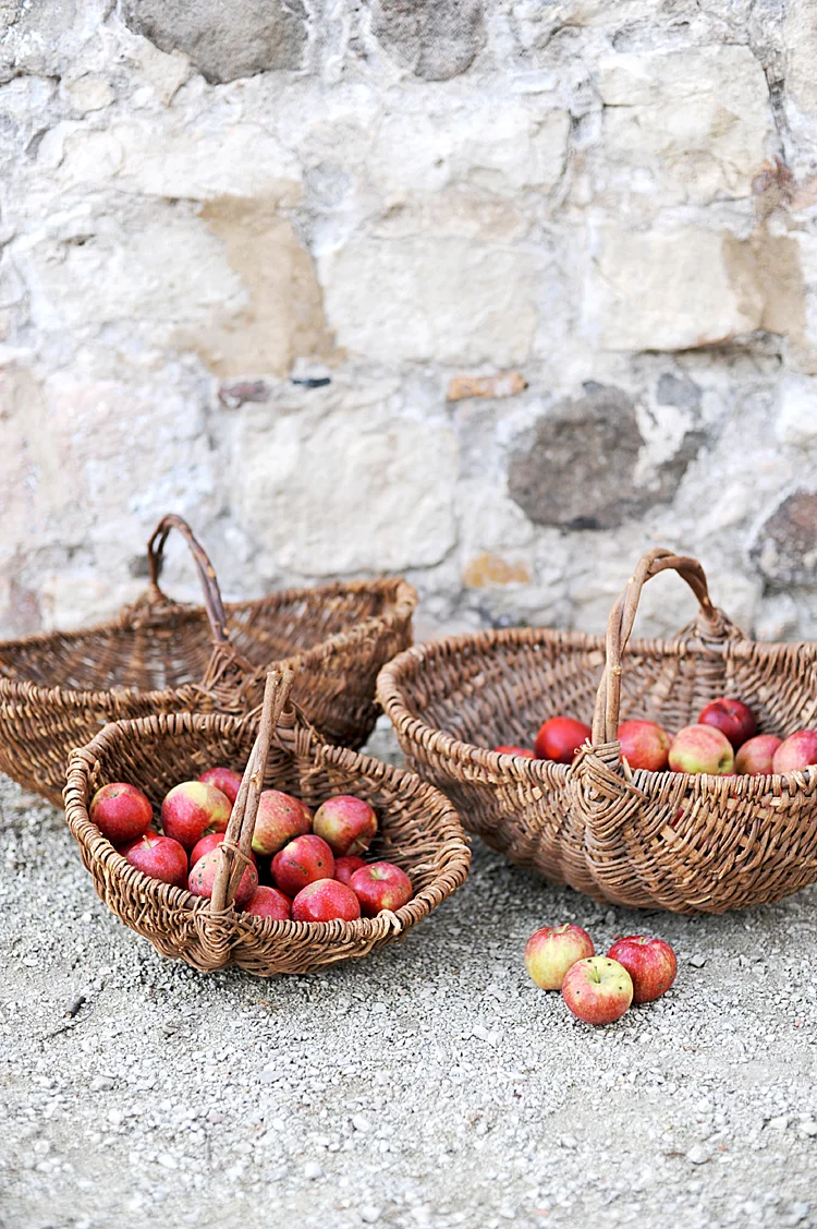 Petite French Harvest Basket Nº 2