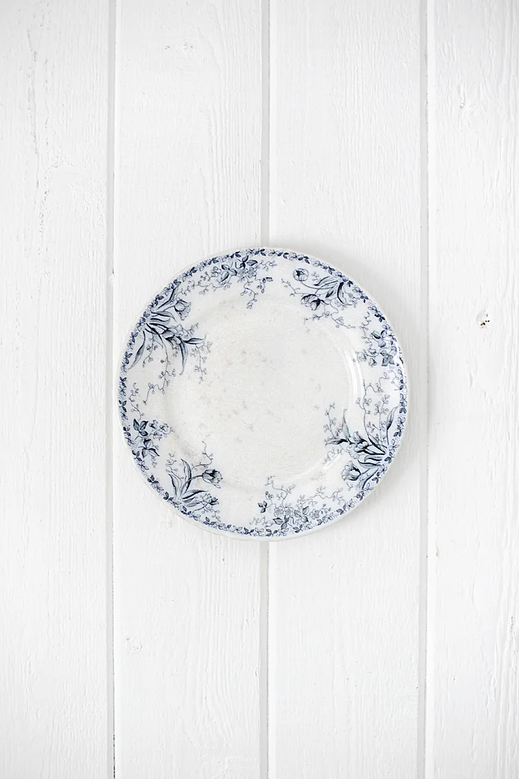 English Ironstone Botanical Plate
