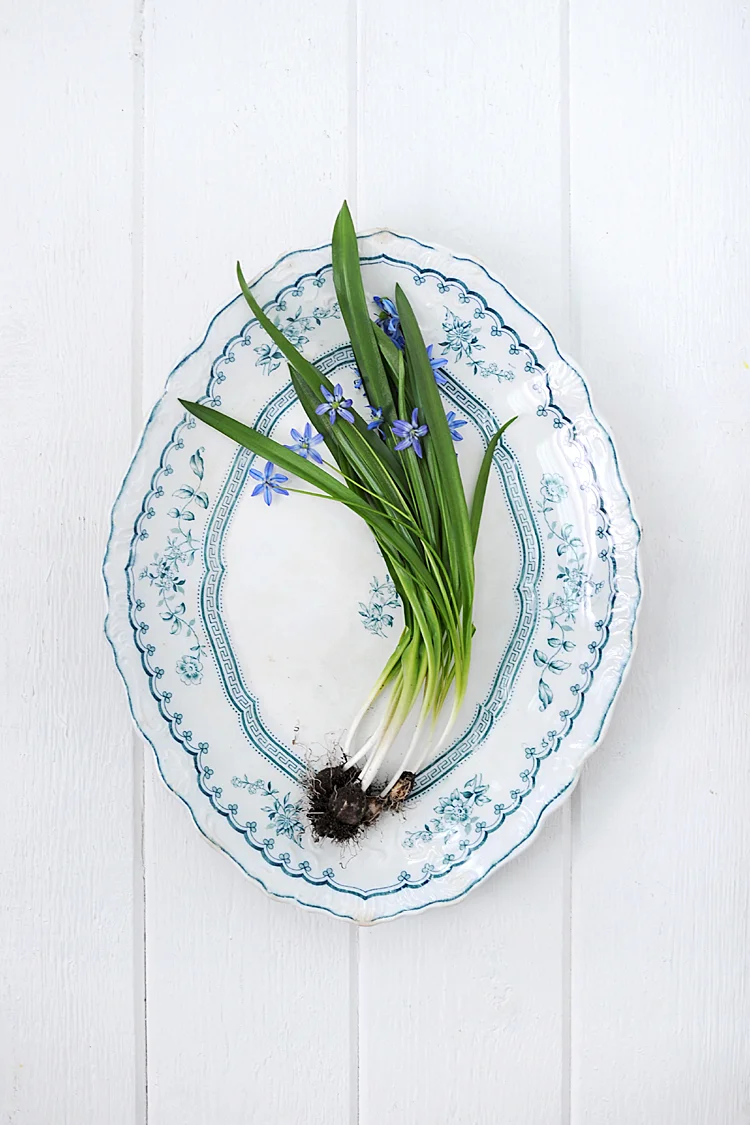 Large Ironstone Transferware Platter