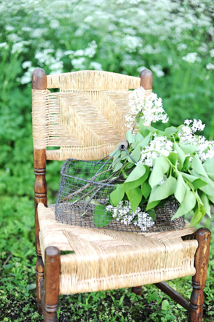 Haven Antiques Antique French Wire Egg Gathering Harvest Basket Oyster