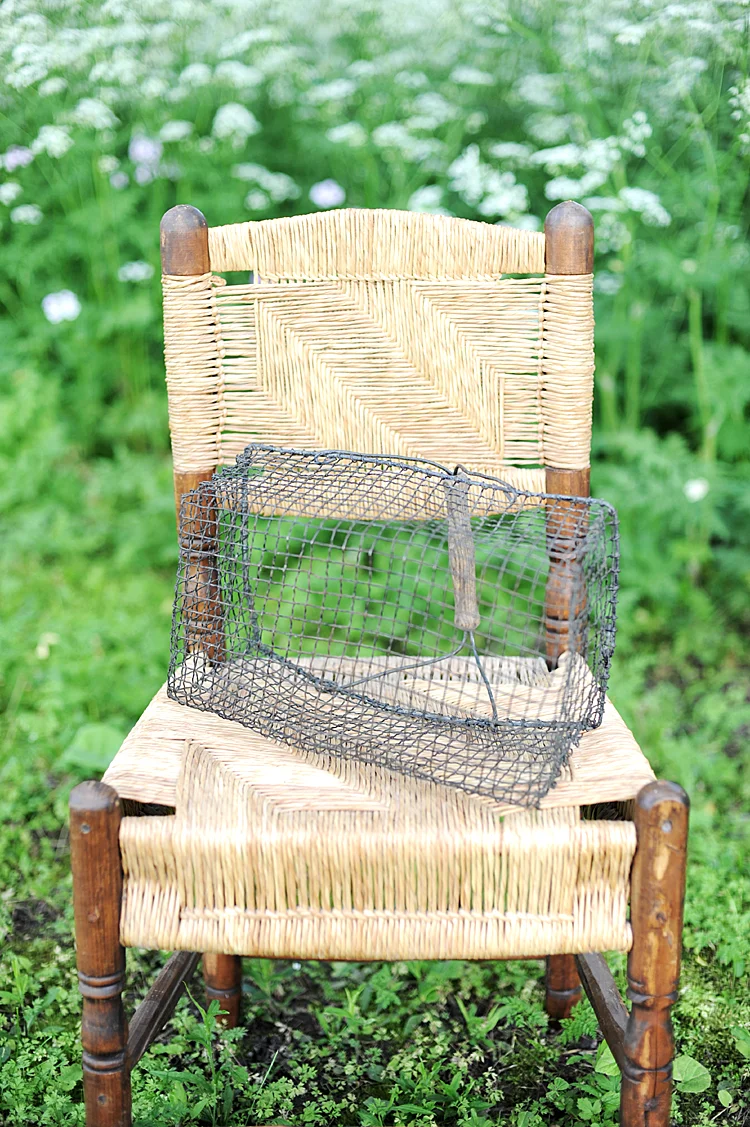 Haven Antiques Antique French Wire Egg Gathering Harvest Basket Oyster