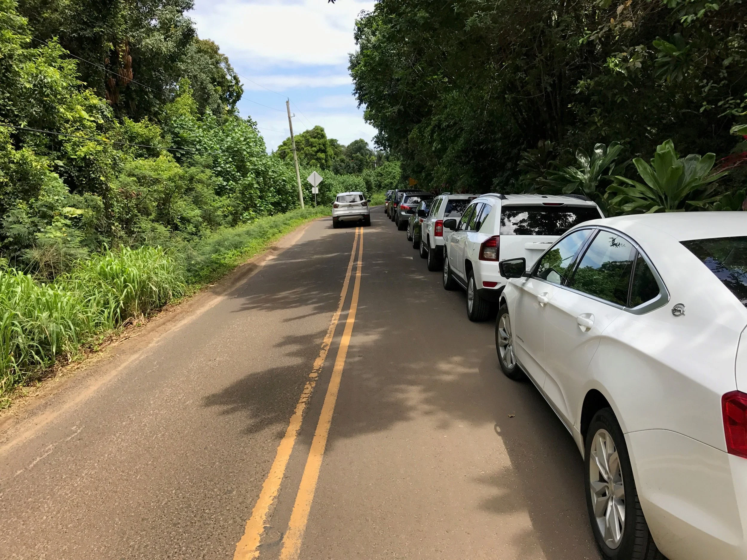 Cars in Haena.jpg