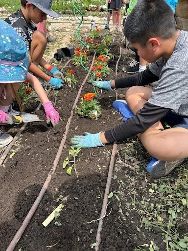 Garden Guardians Camp