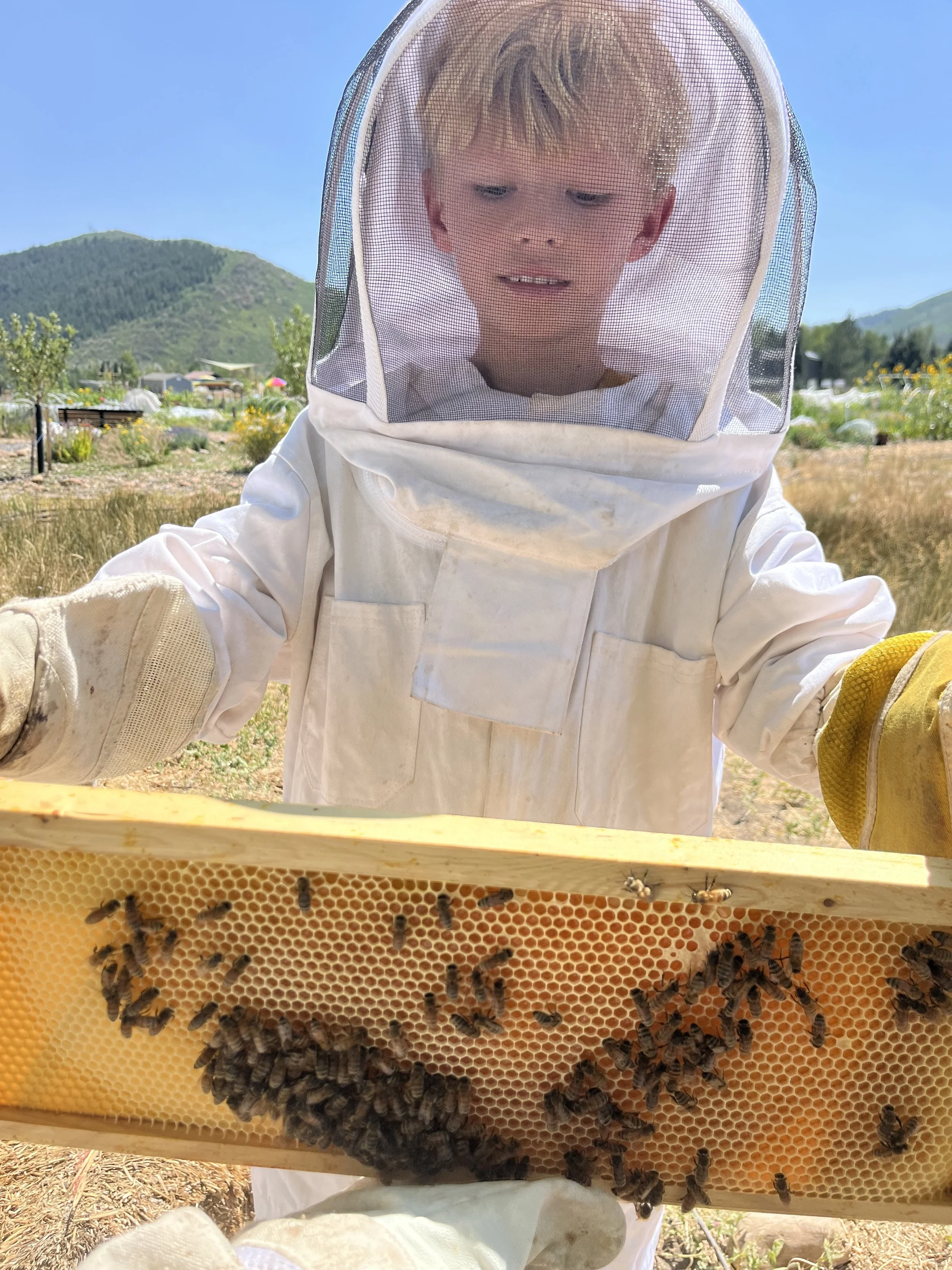 Critter Friends Camp