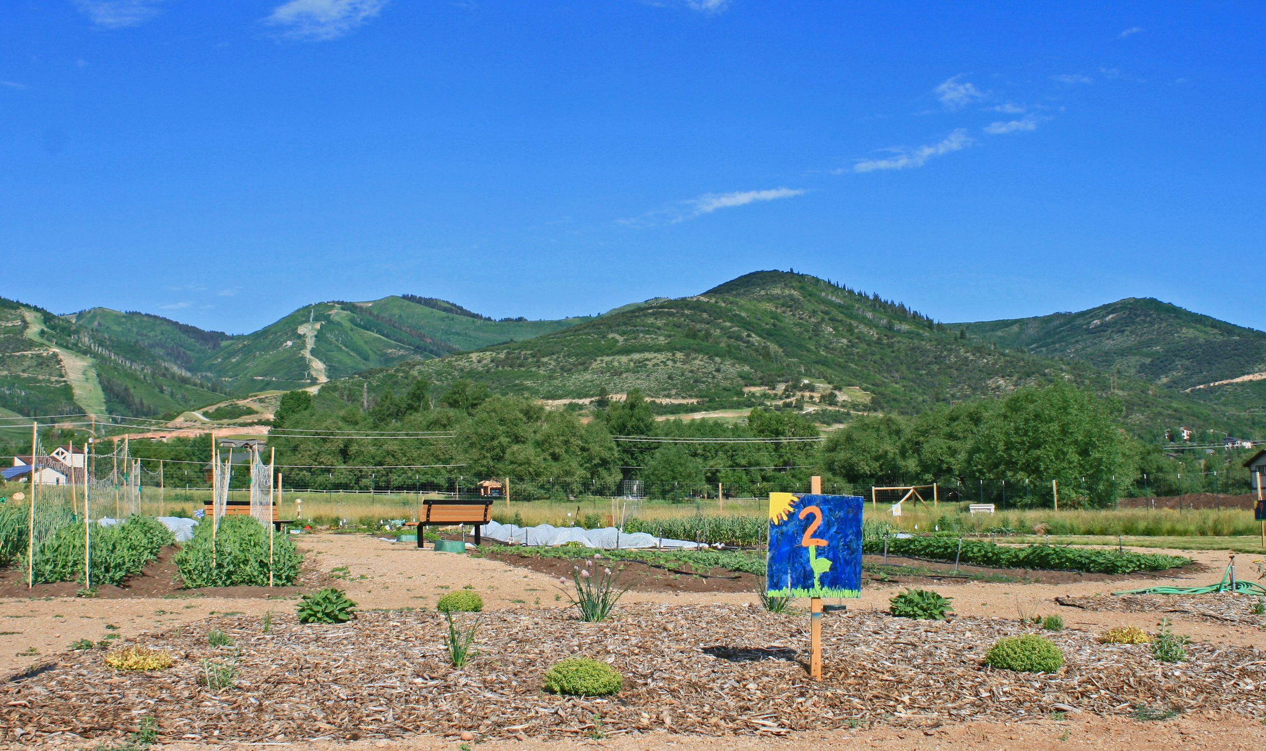 Stop 2: Perennial Herb and Sensory Garden