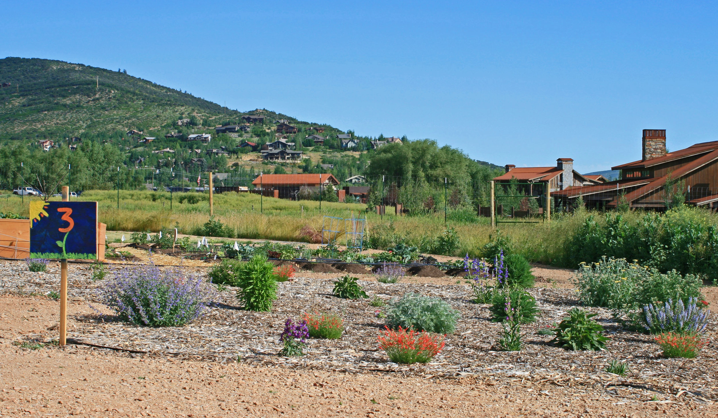 Stop 3: Perennial Pollinator Garden