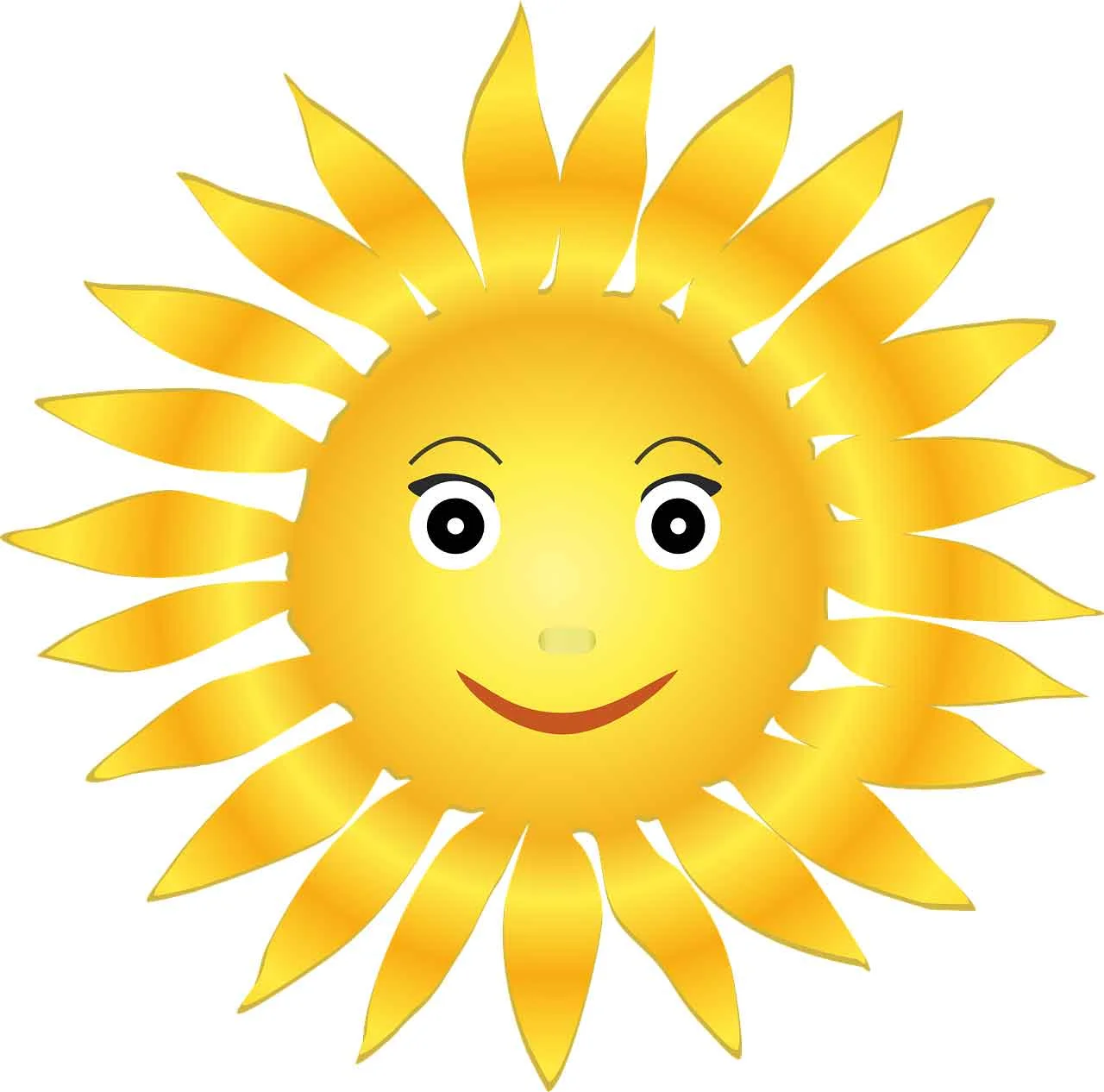 camps-Sunshine and Eco-Art.jpg