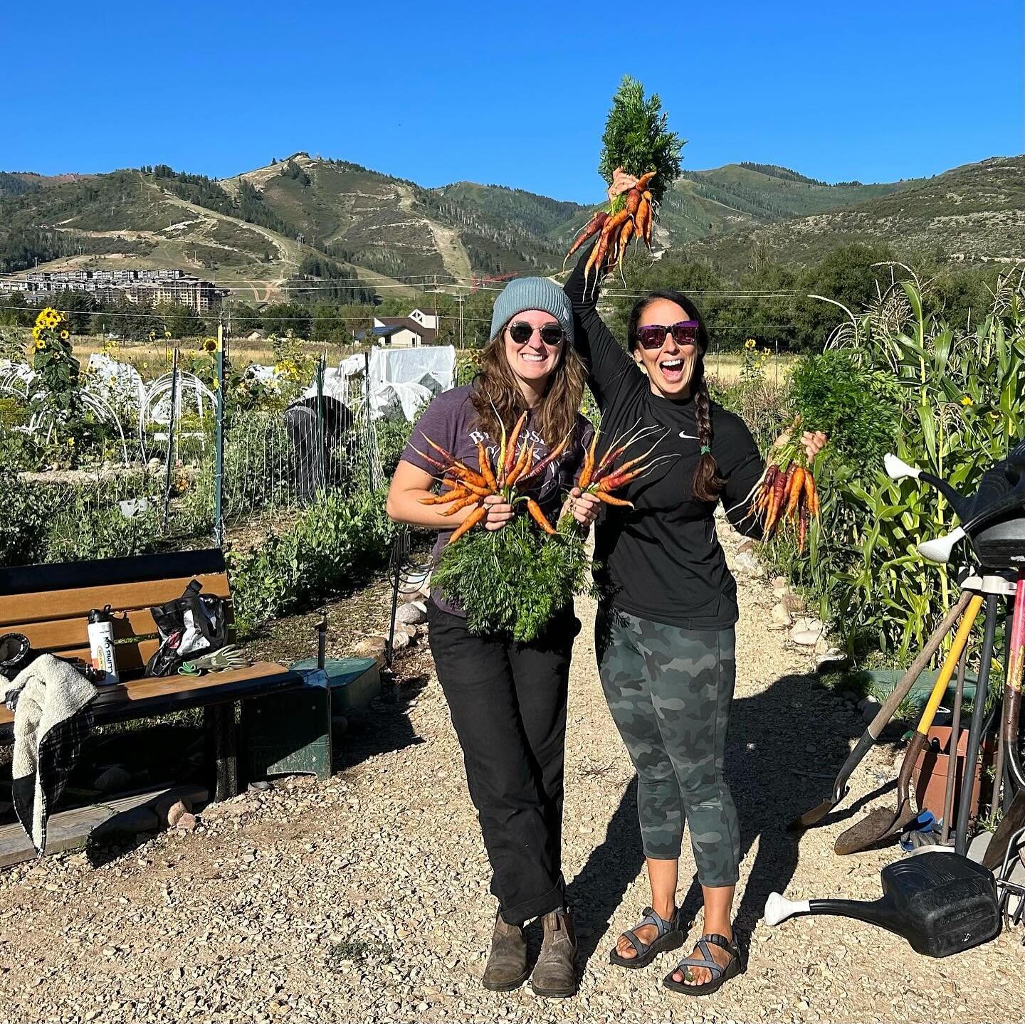 National Women in Agriculture Day was yesterday, so we want to highlight our full team of outstanding women who work hard to connect folks to local food! Shout out to our Garden Director Melissa! We are so excited to get growing with and for our comm