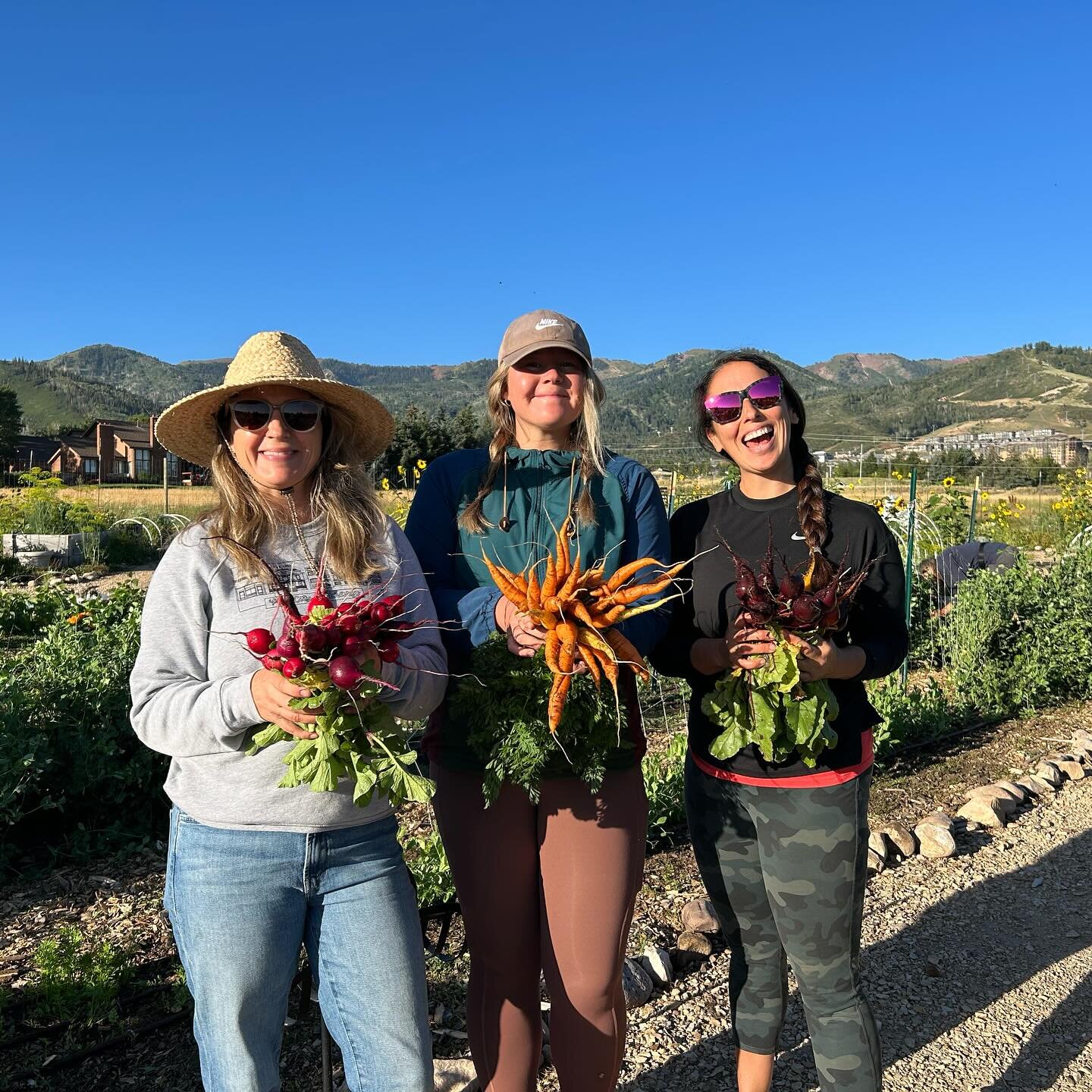 Happy National Gardening Month! We are so excited to get our hands in the soil this month and to plant some seeds in the ground. What early season crops are you getting ready to plant? 🌱🥕🥬