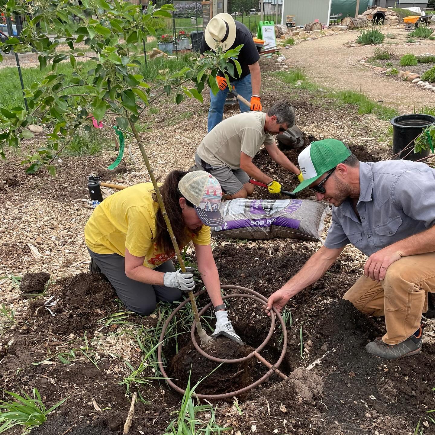 Growing Fruit Trees is an in person workshop at the garden next Saturday with Wesley Crump of USU. @usuextension We&rsquo;ll go over fruit tree selection, planting and general care, and demonstrate the pruning process. Sign up via the link in our bio