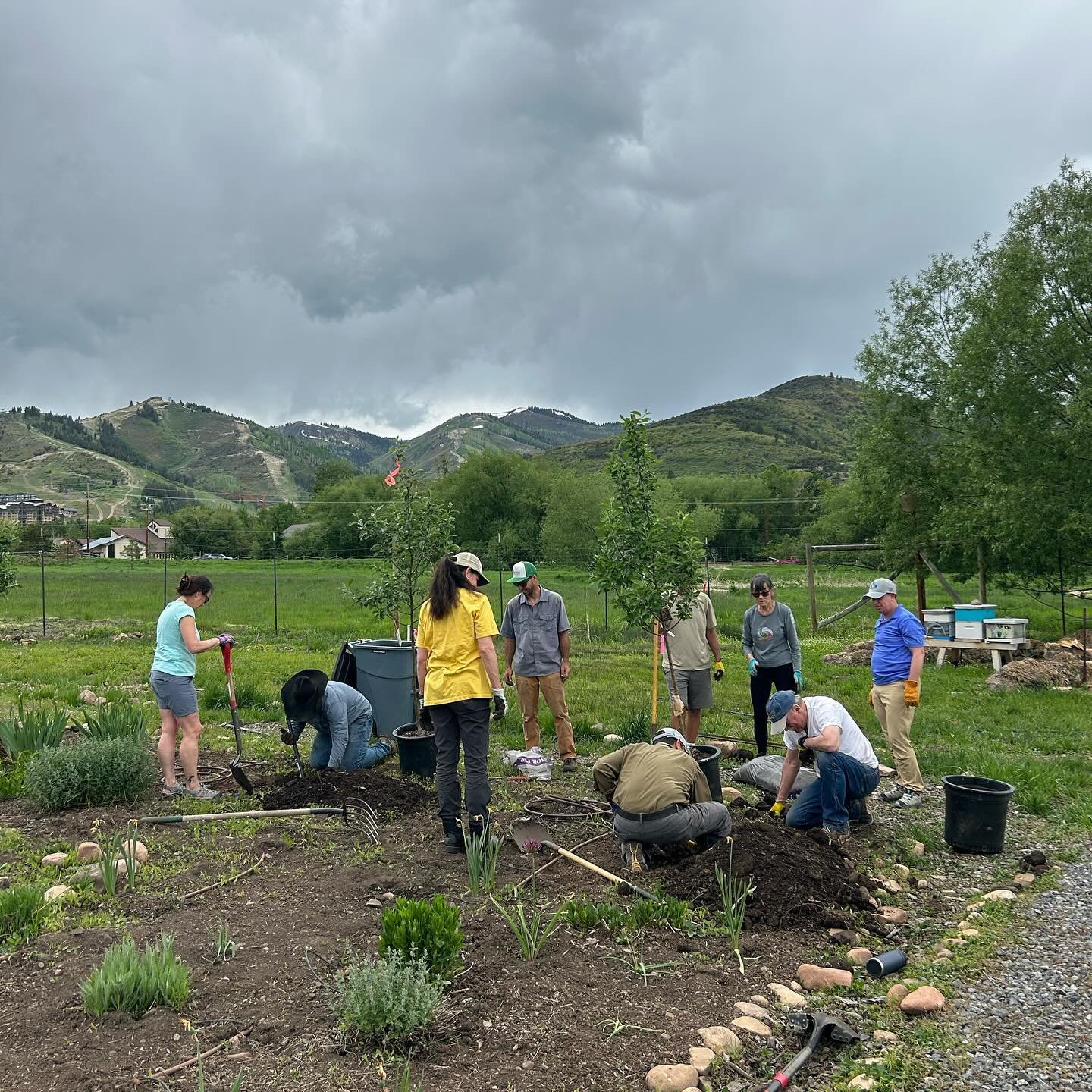 It&rsquo;s National Arbor Day! Thanks to Park City Rotary @parkcityrotary we are growing beautiful fruit trees in our orchard. Trees help to build healthy soils and serve as carbon sinks in our warming environment. 🌳