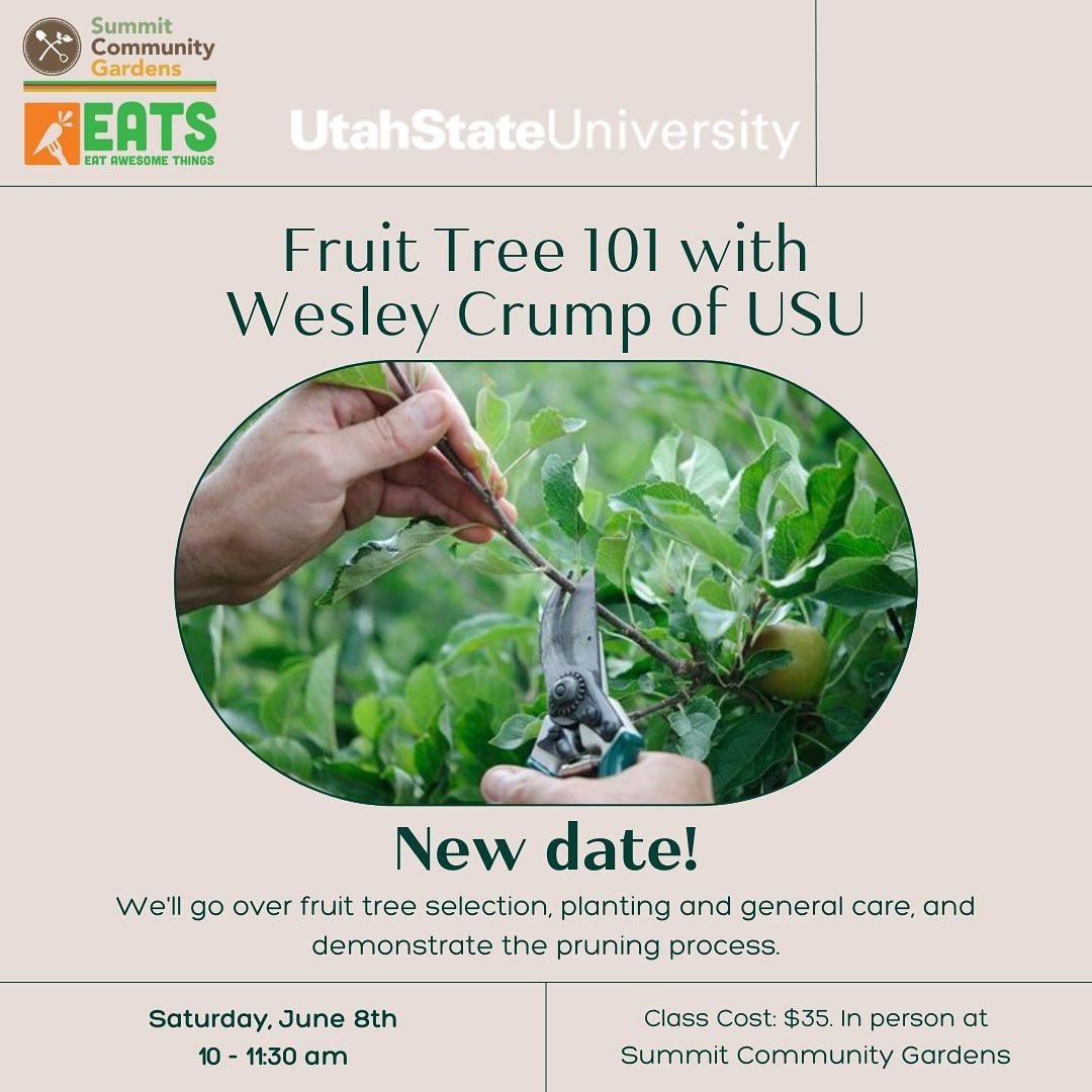 We have rescheduled our Growing Fruit Trees class to Saturday, June 8th from 10-11:30am. This later date invites us to explore all things Fruit Tree 101, like selection, planting, and care. We hope to see you there!