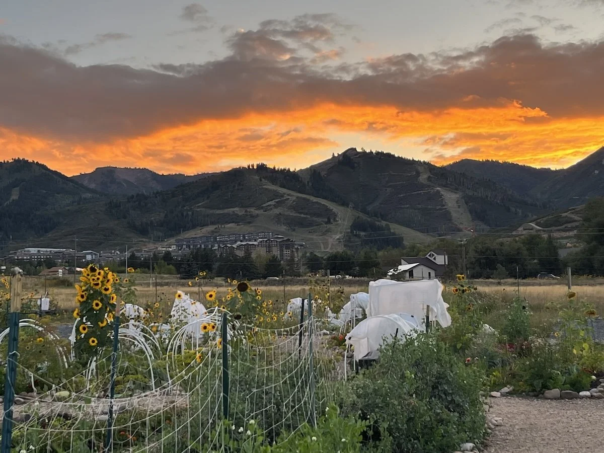 Coffee and Chat in the Garden