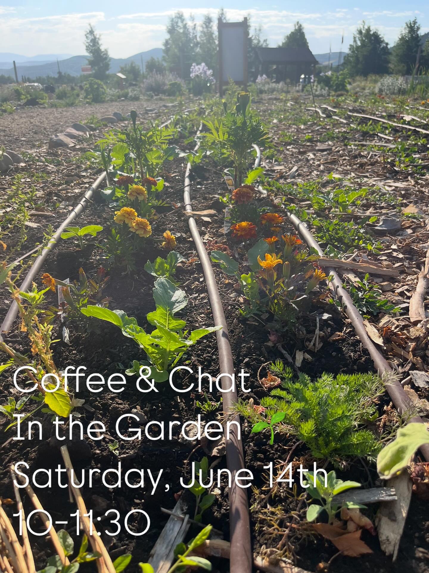 Plot renters, community members, garden lovers! Come enjoy our monthly open house and a beautiful morning in the Garden. Staff and Board members will answer questions about gardening, the organization, and our programs. Light refreshments &amp; good 