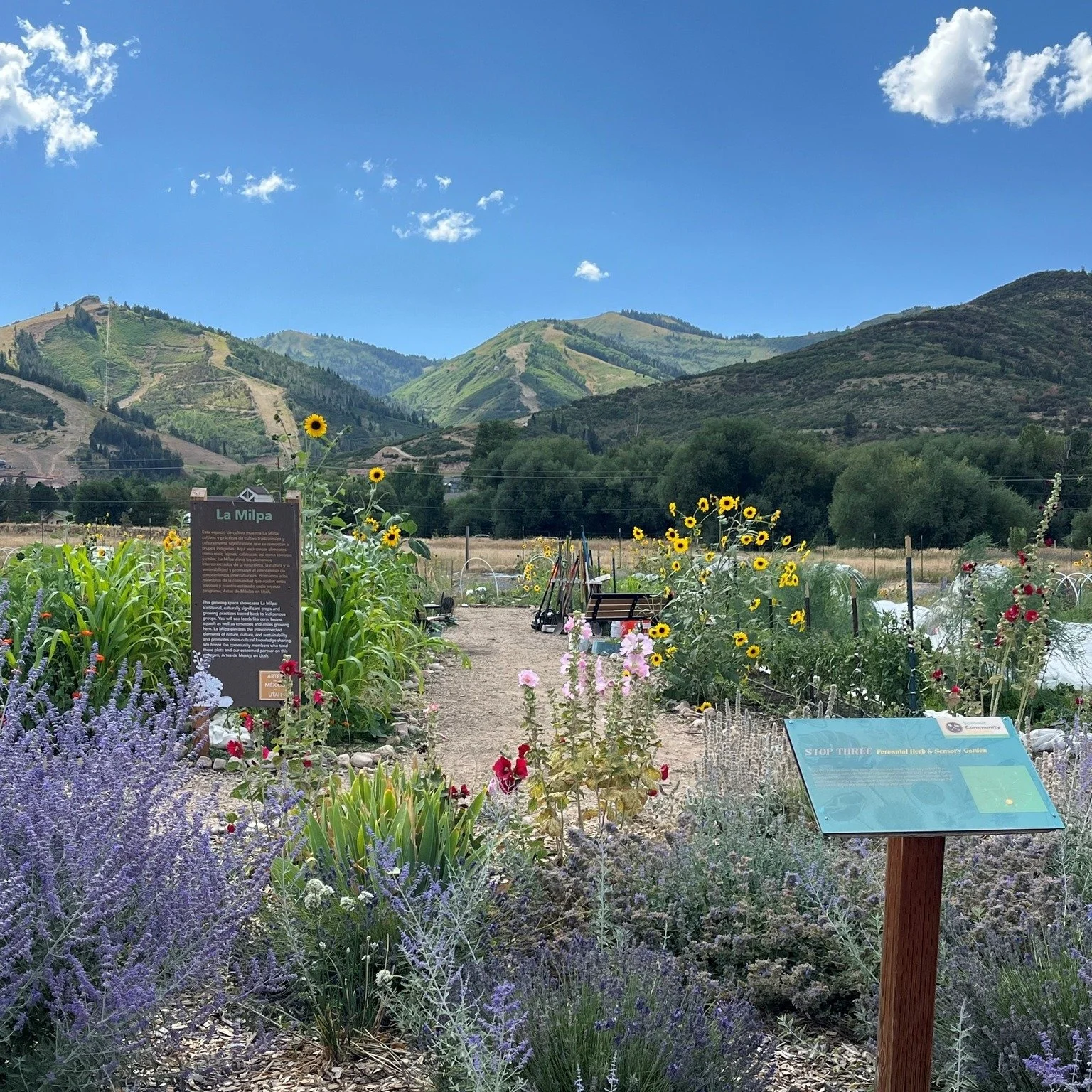 SERVE with us this Saturday! We are so excited to be part of the 2nd annual Serve Park City day. Join the thousands of volunteers  who have already signed up to serve one of 30+ local projects. 

Saturday, September 13th
9:30 a.m. to 12:00 p.m. 

Sig