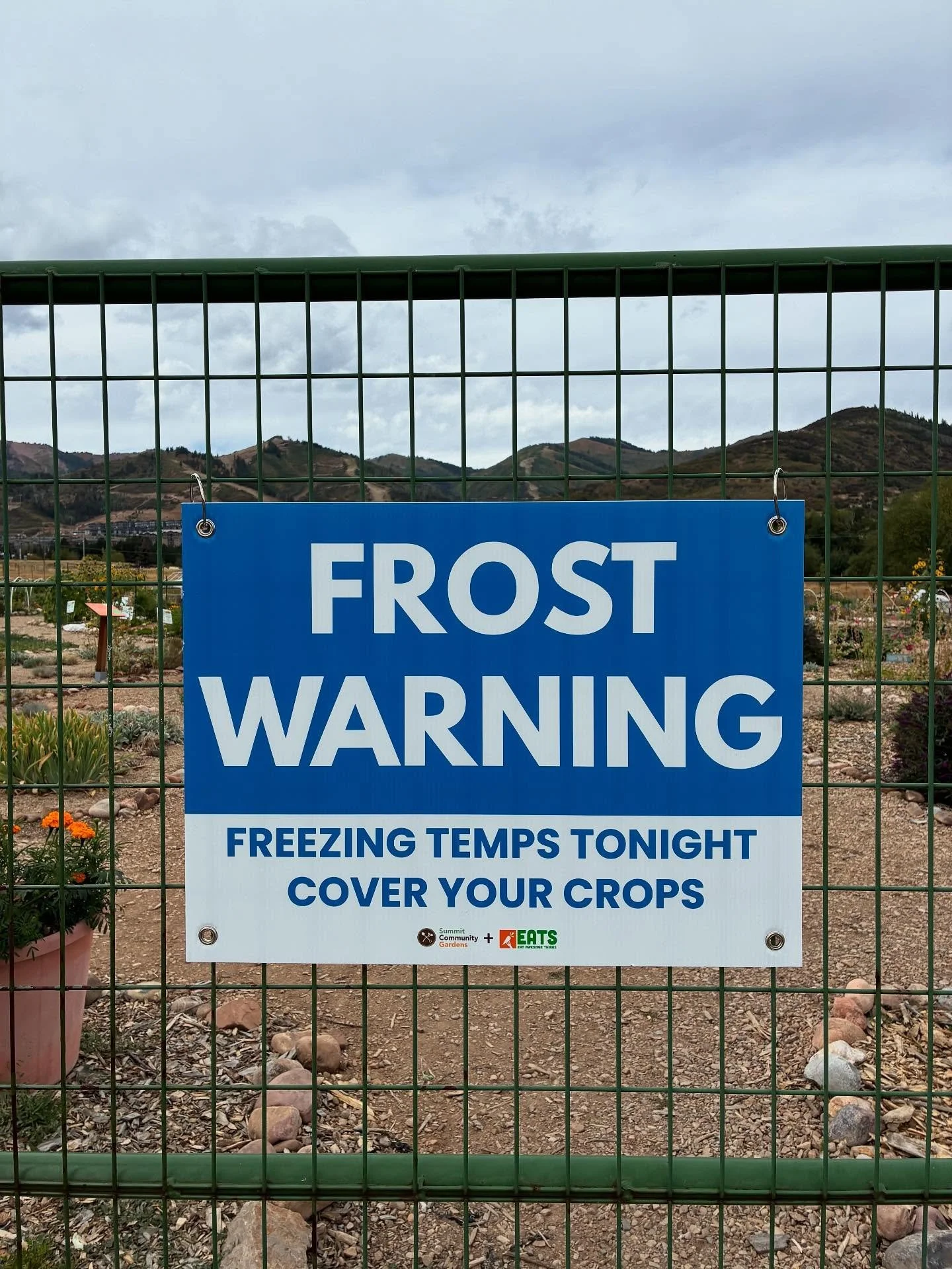 PSA from Summit Community Gardens-EATS 🍁With temperatures predicted in the low 40s Friday, Saturday &amp; Sunday nights, we recommend covering tender crops like tomatoes, tomatillos, eggplant, peppers, summer &amp; winter squash, cucumbers and green