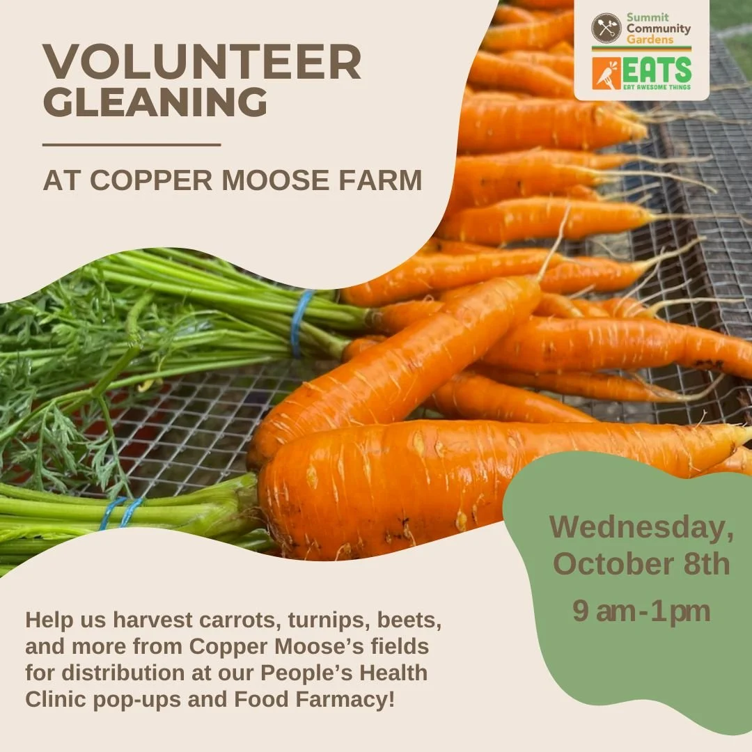 We have just a few remaining opportunities to volunteer in the Garden this season! Join us for our last harvest for the Food Farmacy, help us winterize the Demonstration Garden and plant garlic, and come out to glean carrots from Copper Moose Farm fo