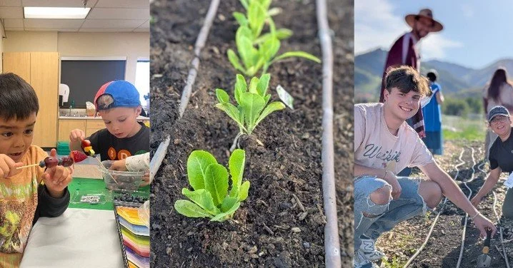 Maximize Your Impact! 💚🧡🌱 https://www.livepcgivepc.org/organization/Summit-Community-Gardens