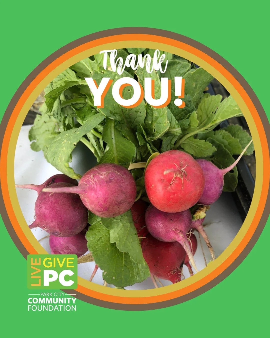 A week later and we are still amazed by the generosity of our Summit Community Gardens - EATS supporters. Thank you to every Live PC Give PC donor for helping us surpass our goal of $50,000! We can't wait to put it to use in our garden and school edu