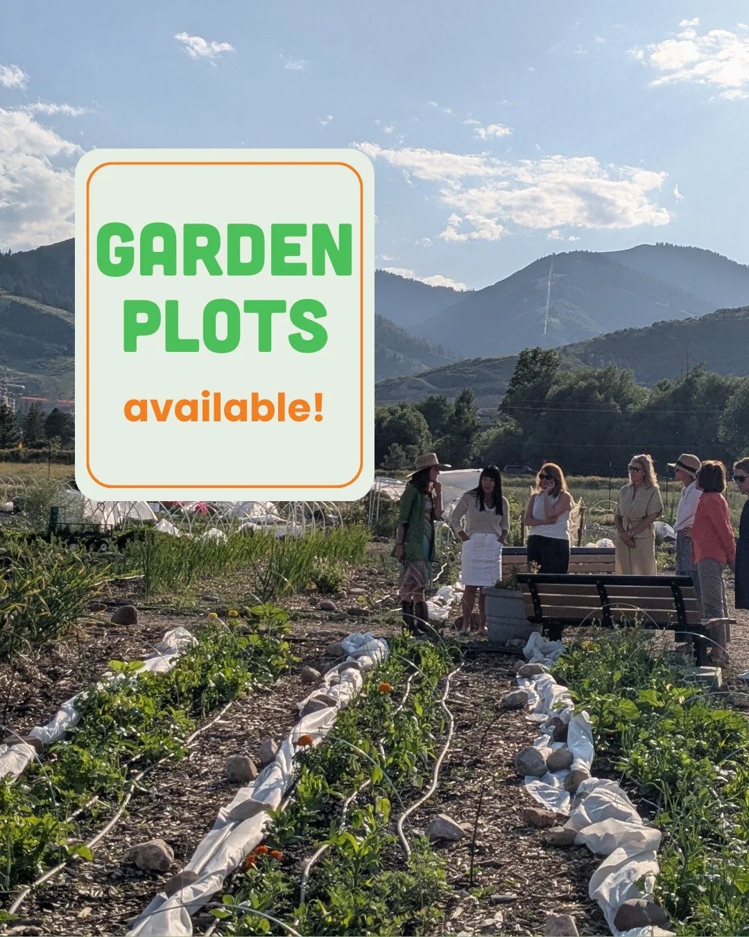 Plots are available for beginners and green thumbs alike! Order your community garden plot today and grow with us this summer. Join Summit County&rsquo;s only public garden. Gardening at high altitude has its challenges, but offers so many rewards, e