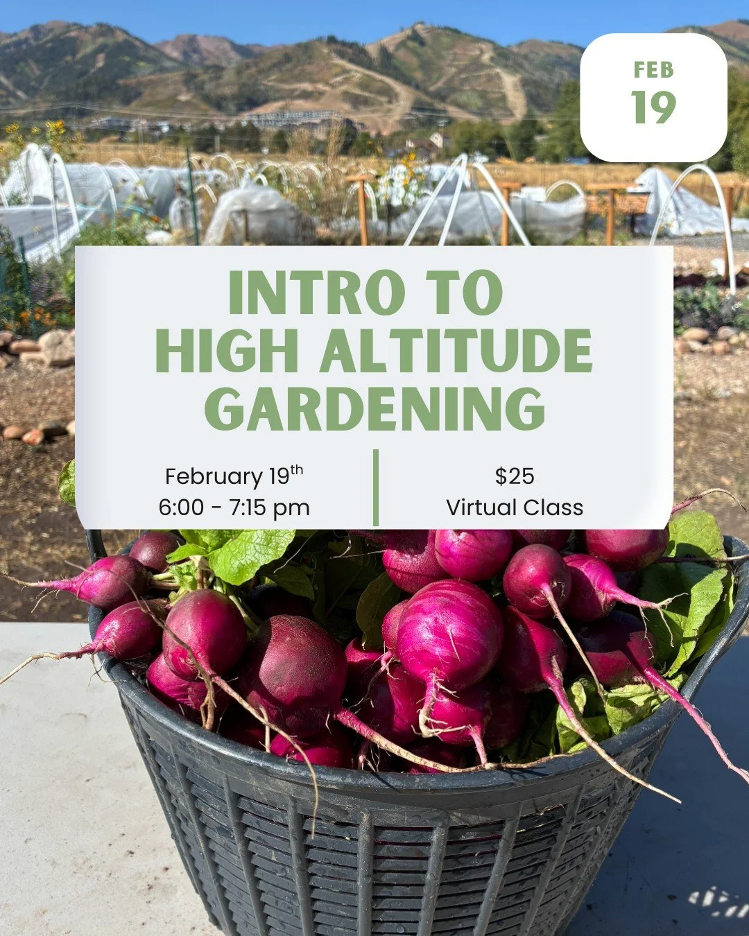It's not too soon to think about your garden plans. While we're still a few months away from growing season at this elevation, now is a great time to start considering your garden strategy. Some crops need a head start before we can sew them in the g