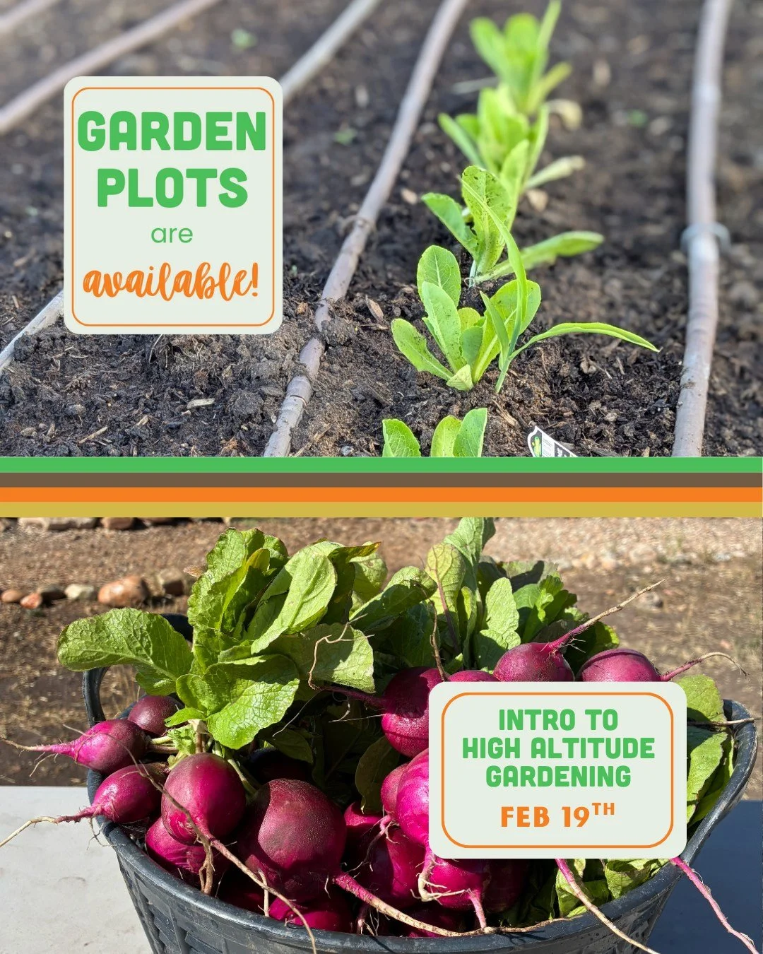 All of this sunshine has us thinking about all things garden! There are still some plots available so come join our community of gardeners this summer. Plus, the first of our community classes is coming soon! Learn from Garden Director Jess about the