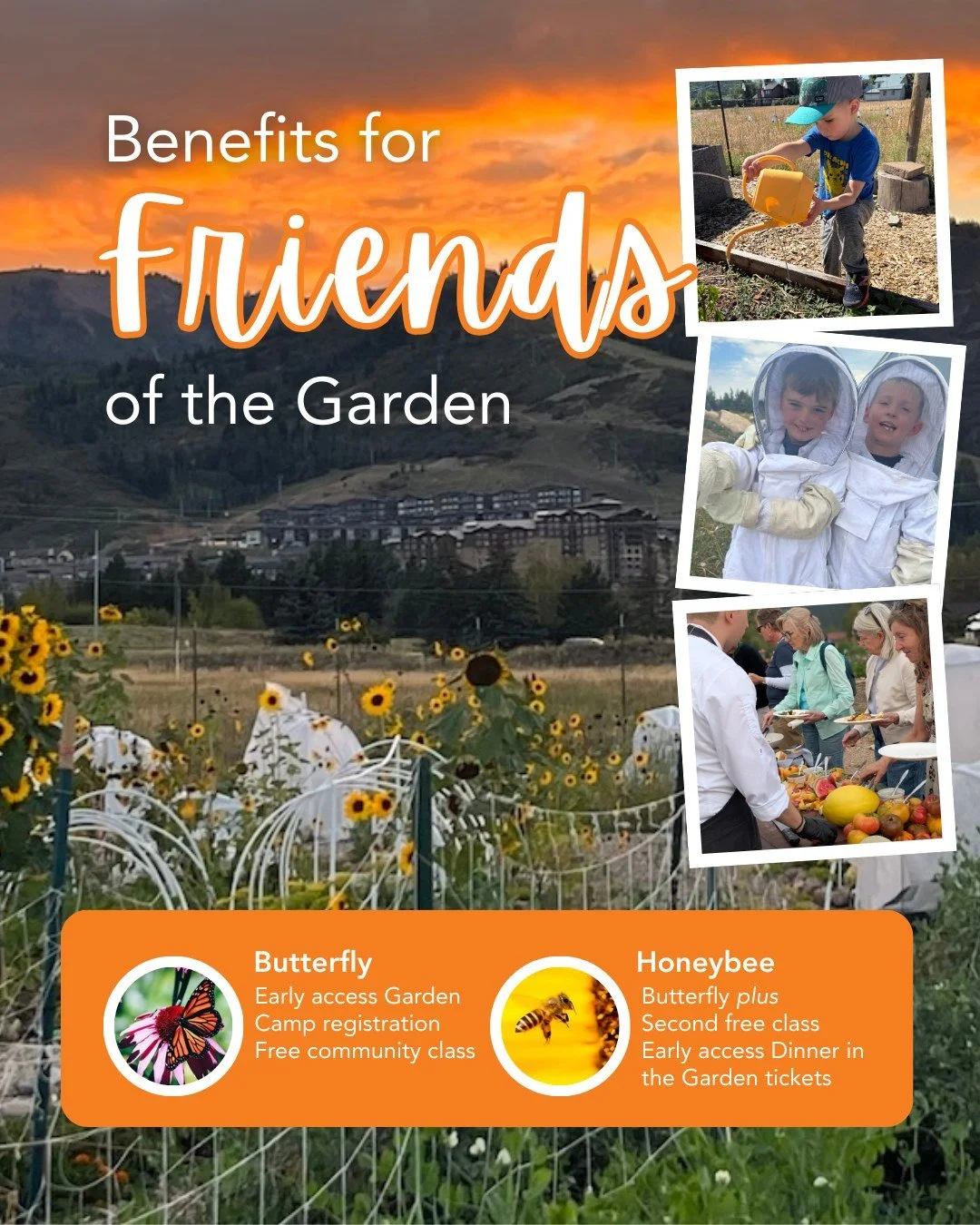 Want first dibs on Garden Camp? 🙌 Friends of the Garden at the Butterfly or Honeybee level can register for camp before everyone else. Three weeks left to take advantage of this perk! Early sign-up = happy campers! 
🔗 Learn how you can become a Fri