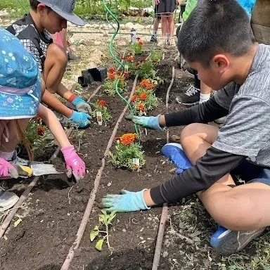 Garden Guardians Camp