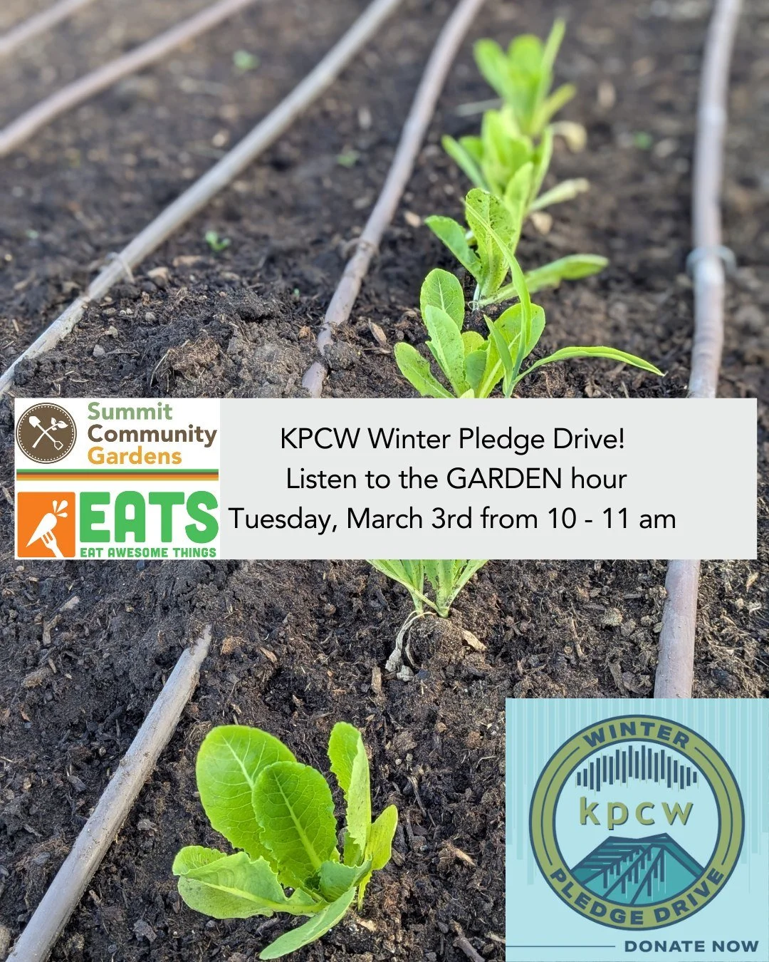 📻 Tune in to @kpcwradio  Winter Pledge Drive next week. By donating during the Garden Hour, March 3rd from 10 - 11 am,  you'll be supporting two great nonprofits: KPCW&rsquo;s reporting &amp; music, plus SCG + EATS&rsquo; ability to receive valuable