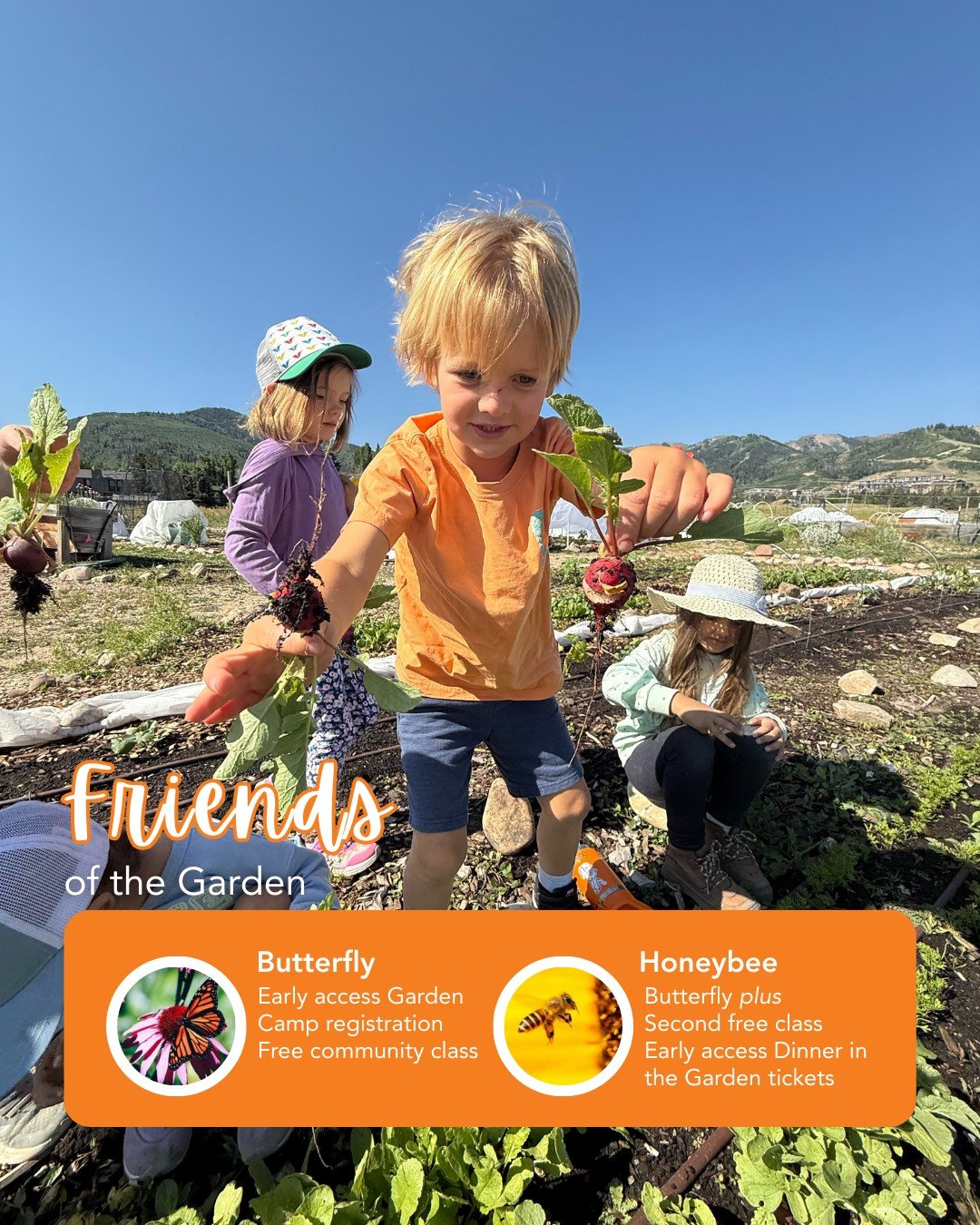 ⏰ Early Access Starts today! 
Garden camp registration is open for Friends of the Garden! Spots fill fast so grab yours no. It's not too late to take advantage of the early-bird fun. Join our Friends at the Butterfly or Honeybee level and lock in you