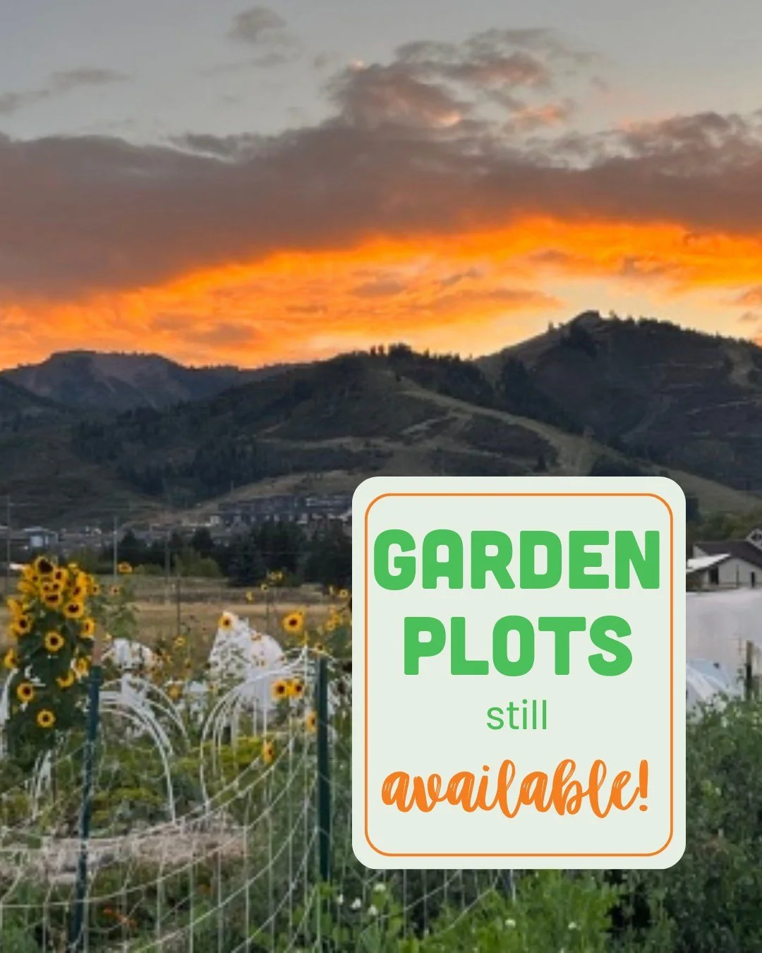 🙌 Gardeners rejoice! Daylight Saving Time means more time to spend in the garden. Community Garden Plots are still available, grab yours before they&rsquo;re gone. Soon we&rsquo;ll stop dreaming about ripe tomatoes on the vine and start planning our