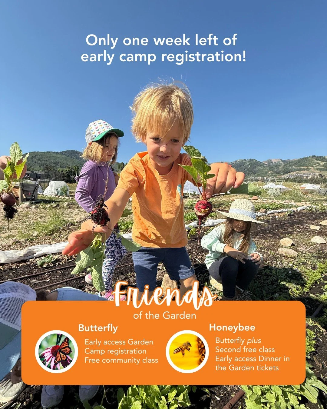 ⏰ Early camp registration is open for Friends of the Garden! 
There&rsquo;s still one week left to get in early on your favorite camps. Become a Friend of the Garden and secure your spot before registration opens to the public on March 16th. Join at 