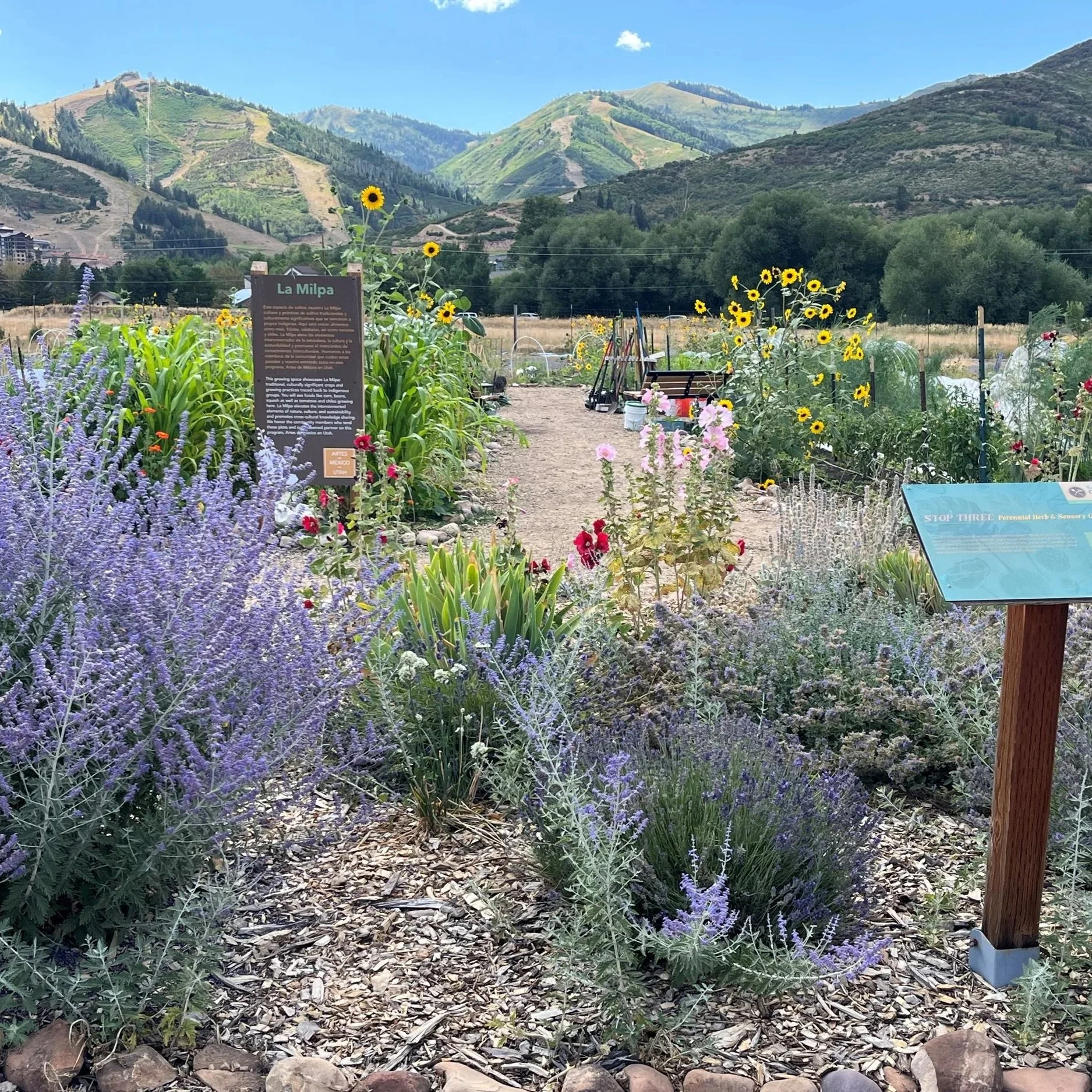 Garden Opening Celebration