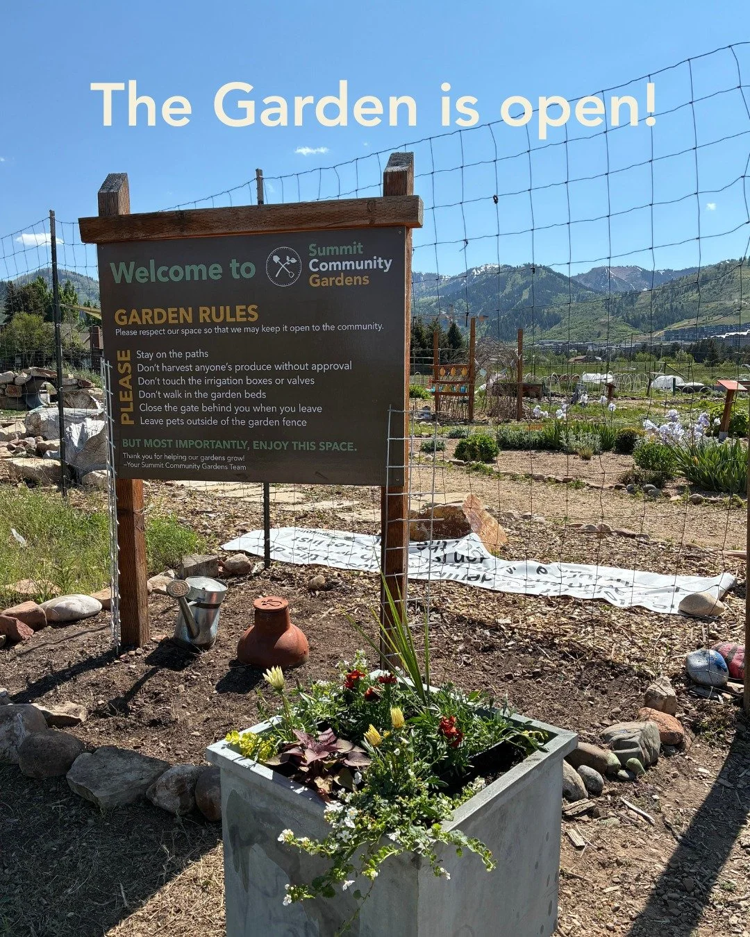 Sunny days are here and the Garden is open! It&rsquo;s a beautiful time to pop in and stroll around the grounds. Garden Director Jess recommends waiting until the threat of overnight freezing temps passes before digging in. For now, enjoy the view, m