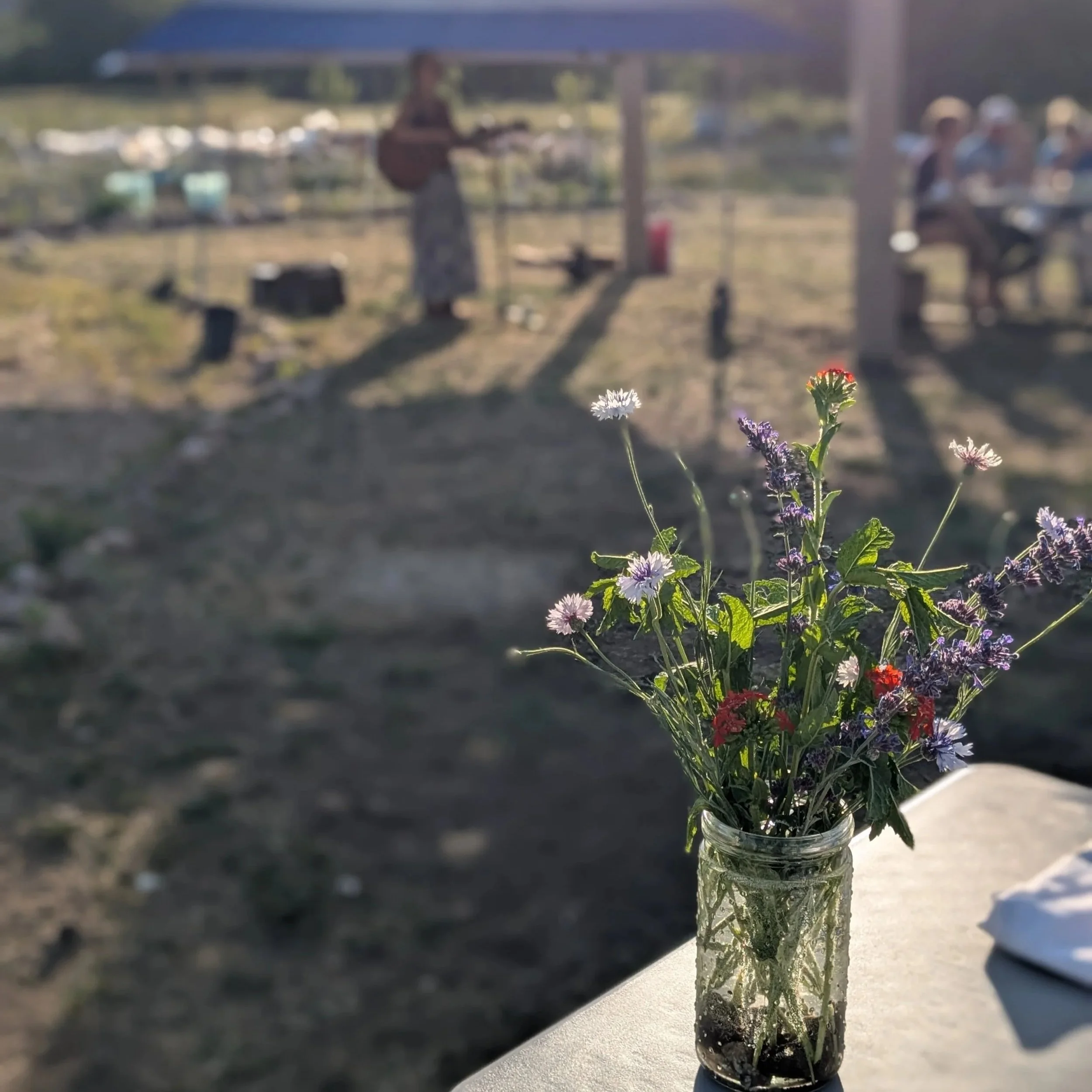 Dinner in the Garden