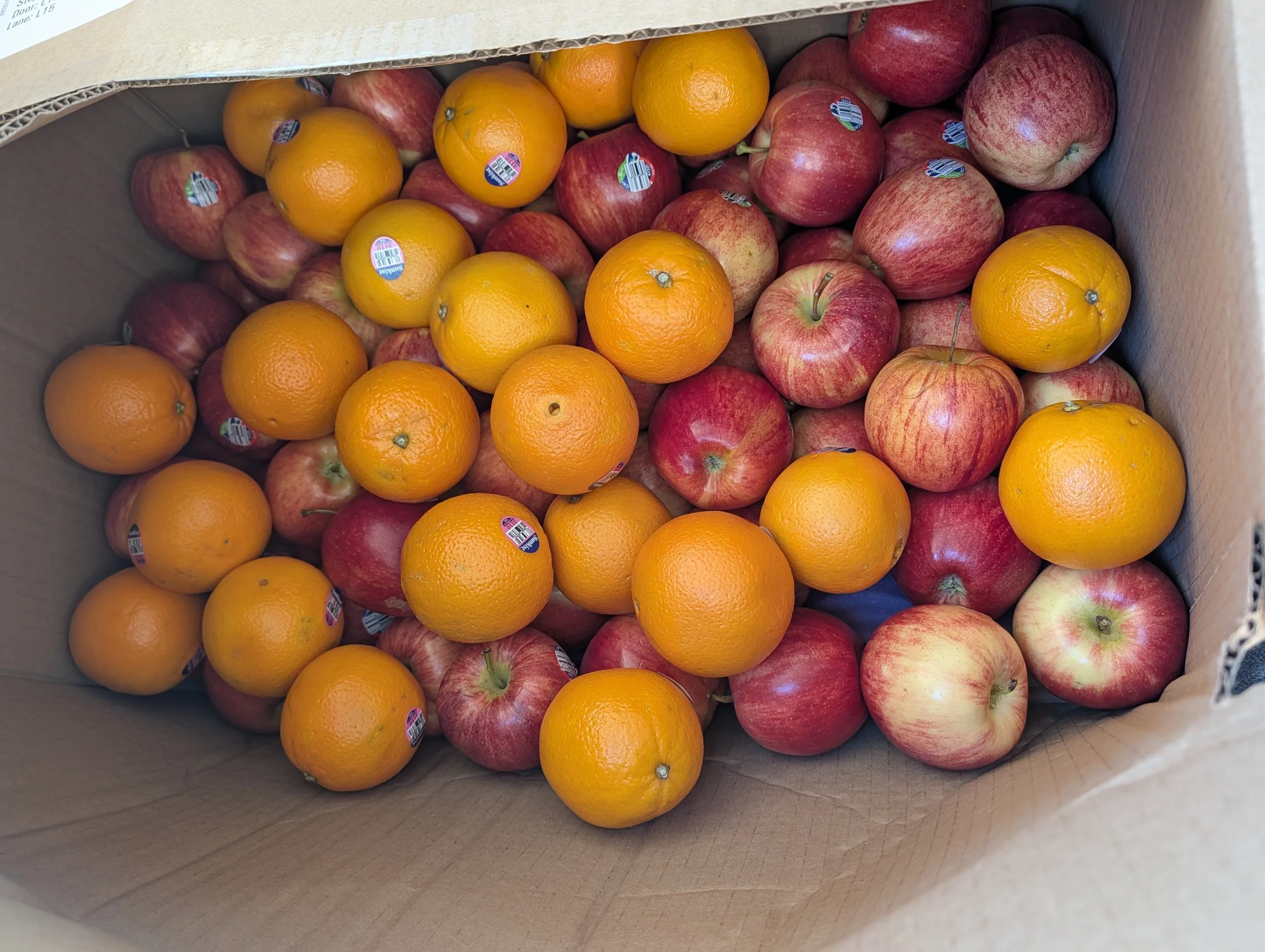 apples and oranges 1 fruit to schools.jpg