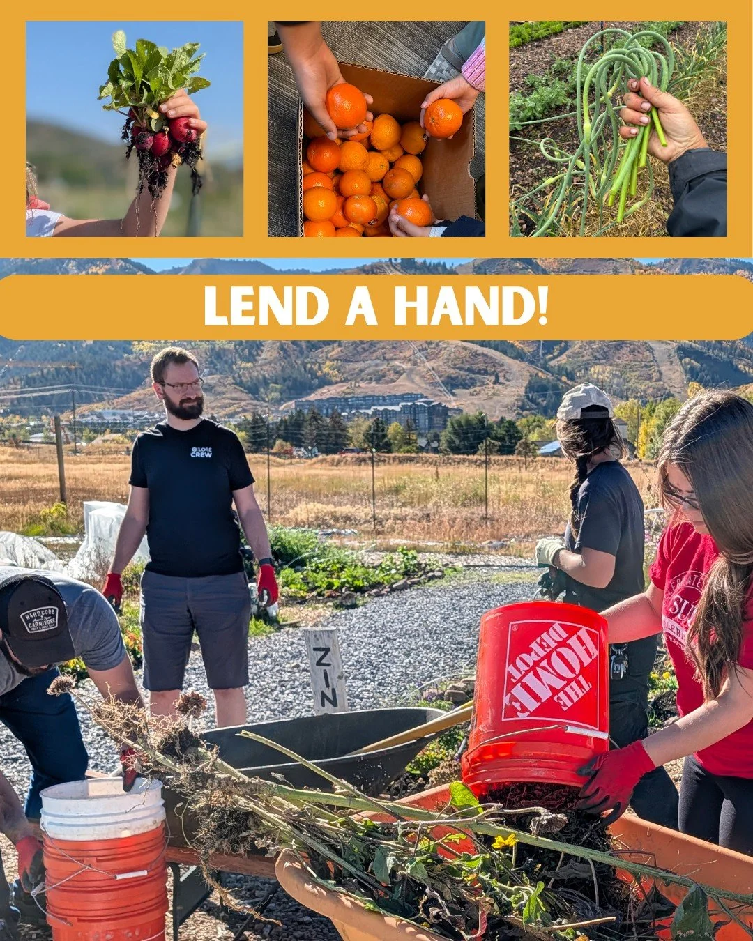 🖐️The school year is winding down and the garden season is gearing up! There are only a few weeks left to help out with Curious Cooks and Fruit to Schools, but many weeks to volunteer in the garden. Sign up to lend us a hand! Link in bio.

#SummitCo